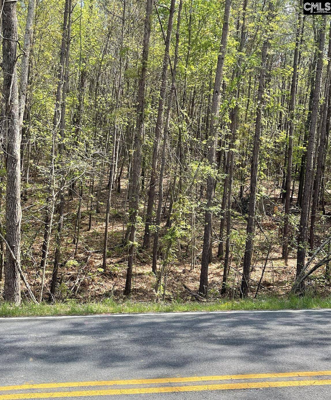 Columbia, SC 29203,330 Dubard Boyle Road #22