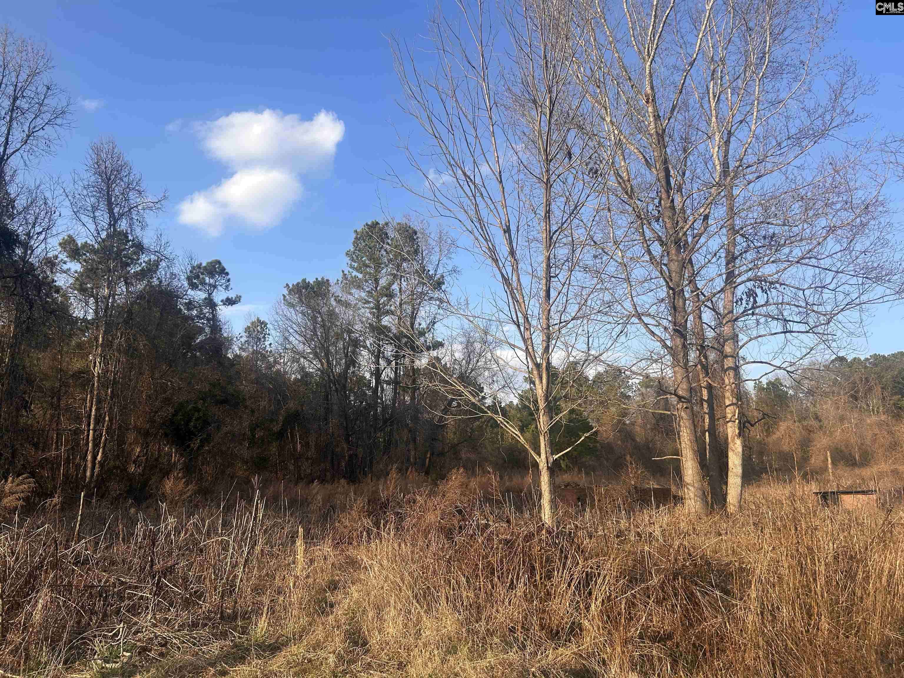 Winnsboro, SC 29180-6477,210 Ridge Road #25