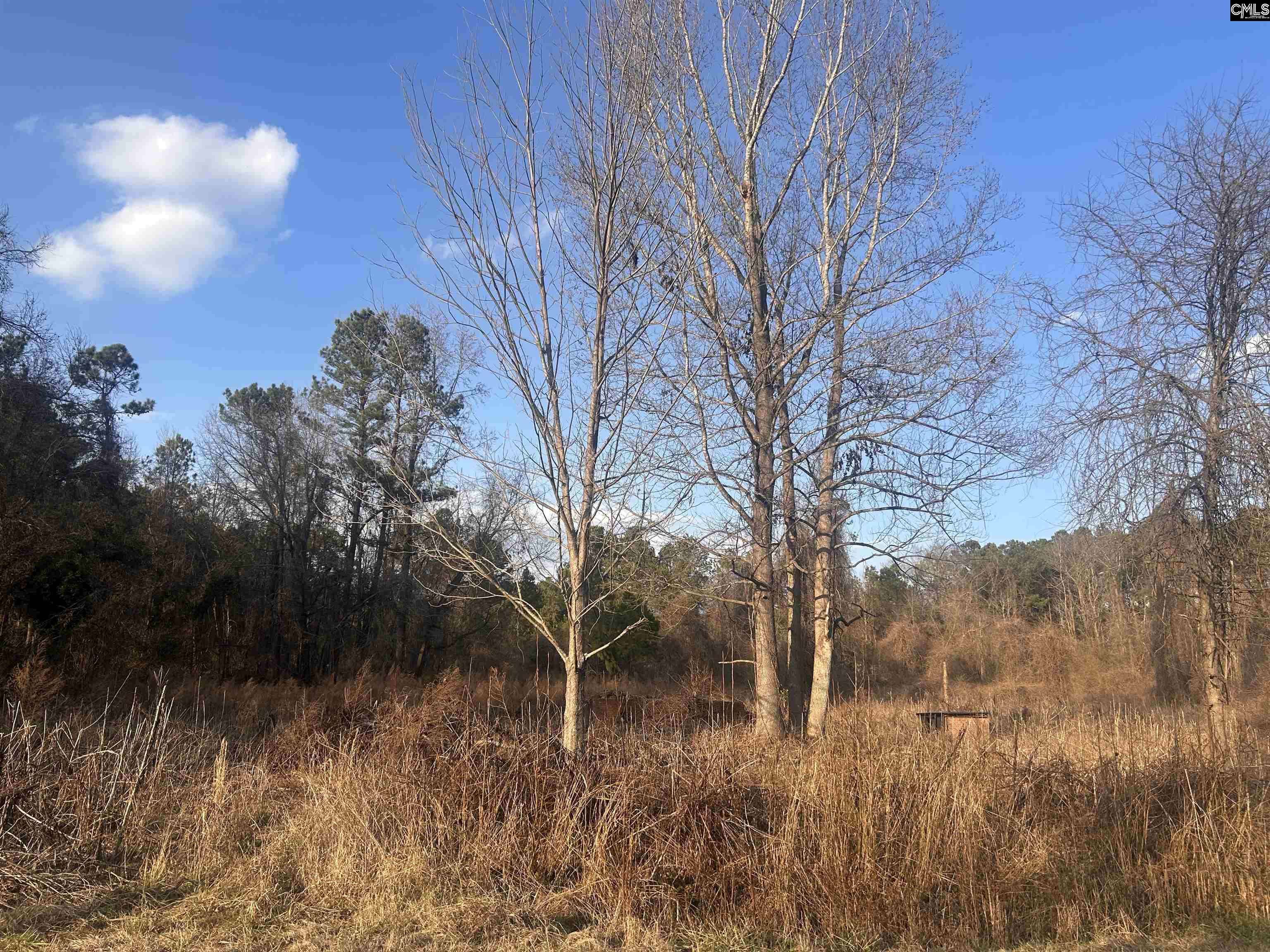 Winnsboro, SC 29180-6477,210 Ridge Road #25