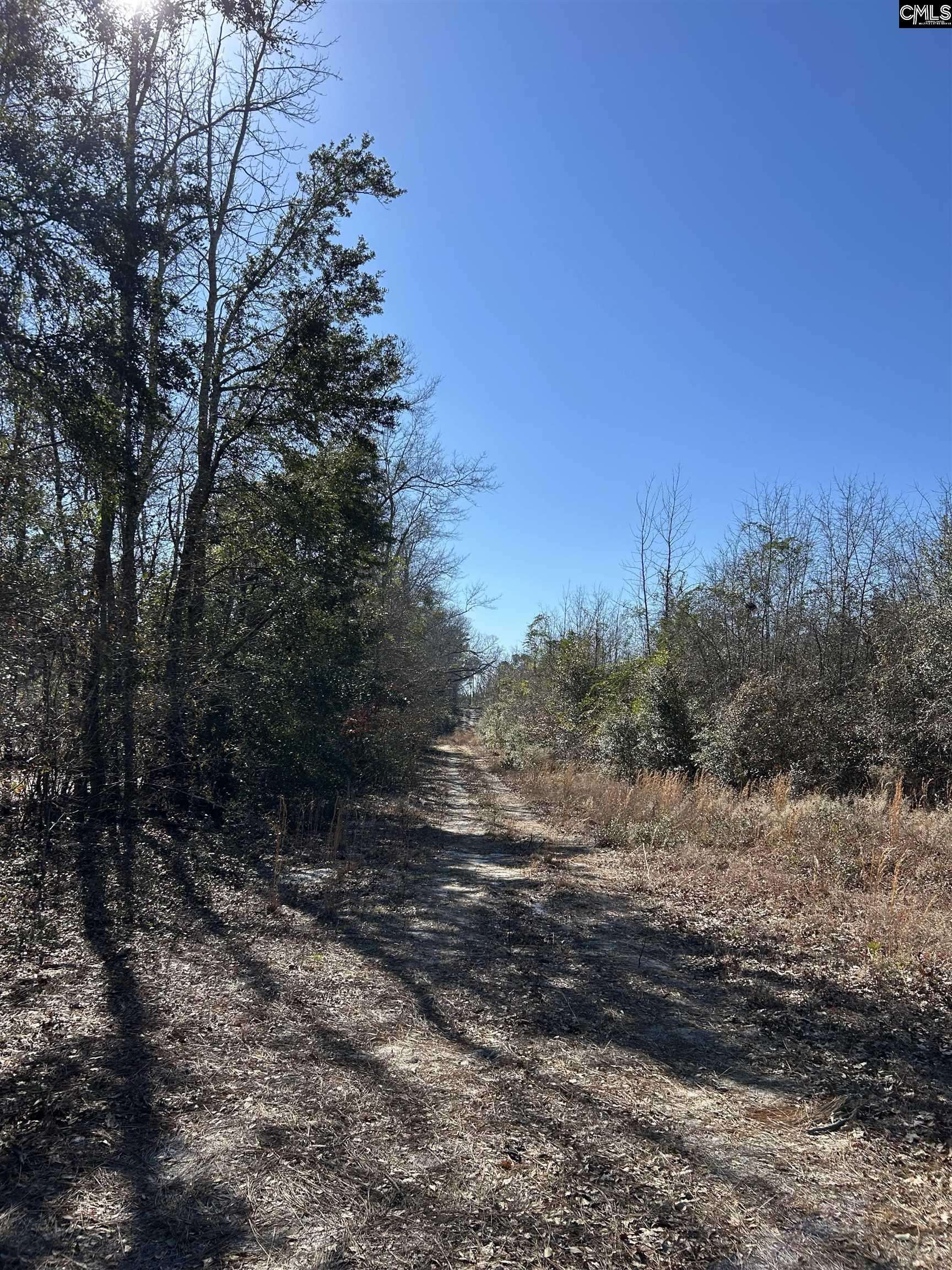 St. Matthews, SC 29135-0000,TBD Old State Road