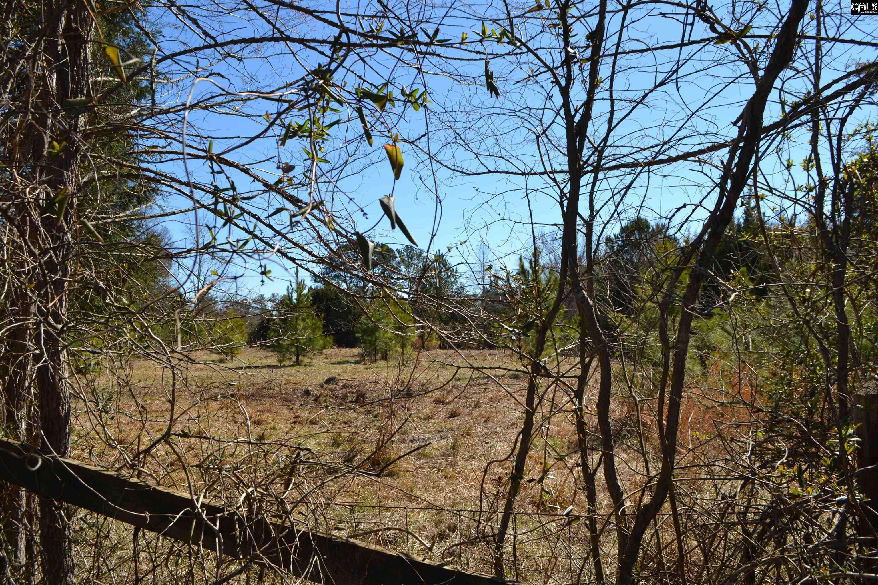 Chapin, SC 29036,105 Walter McCartha Road