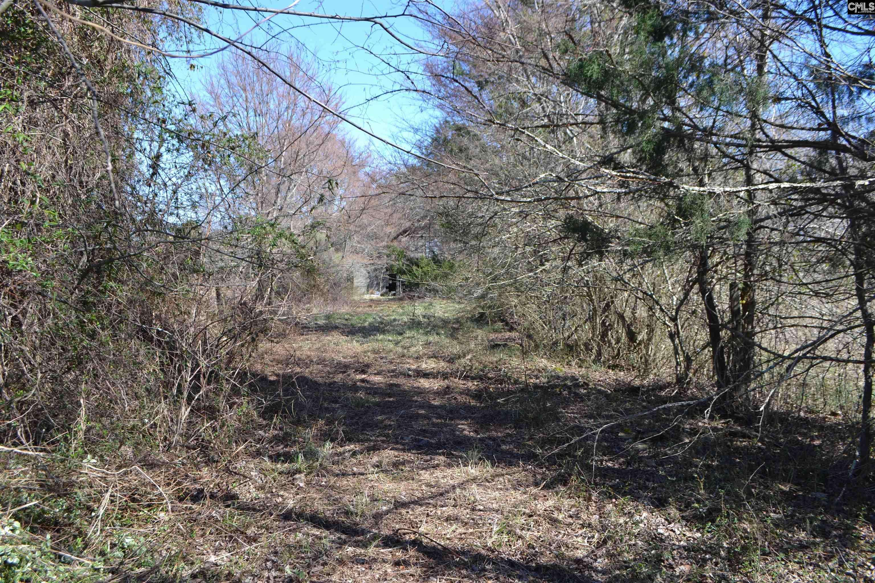 Chapin, SC 29036,105 Walter McCartha Road