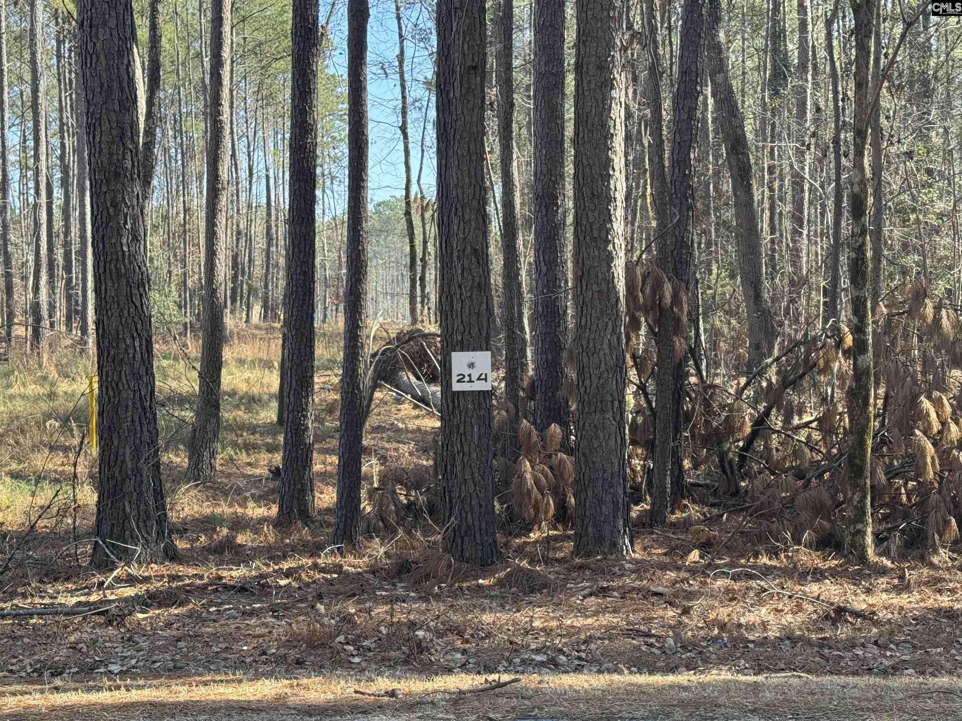 Prosperity, SC 29127,Hollands Landing Road #214
