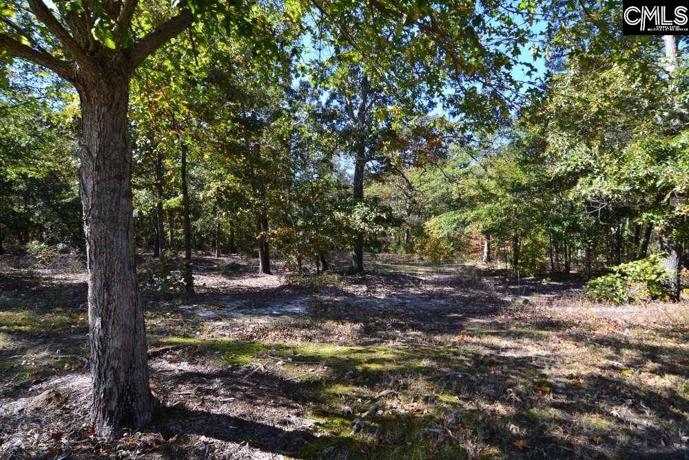 Blythewood, SC 29016,121 Montgomery Ridge Lane #4