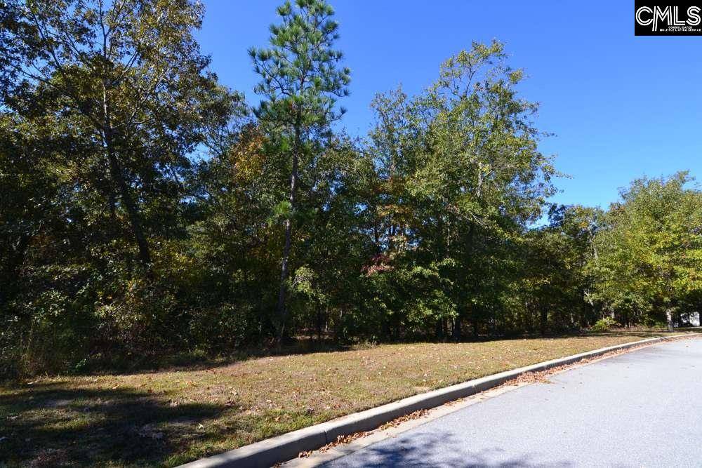 Blythewood, SC 29016,121 Montgomery Ridge Lane #4