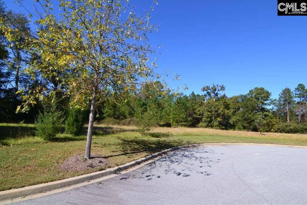 Blythewood, SC 29016,15 Blythe View Court #9