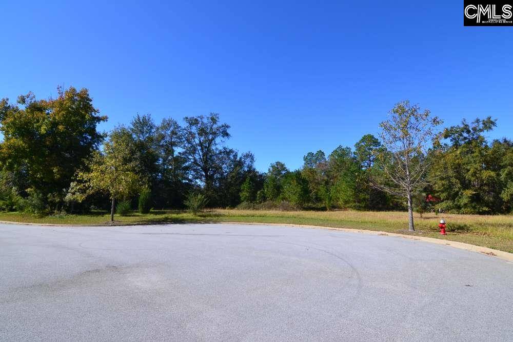 Blythewood, SC 29016,10 Blythe View Court #13