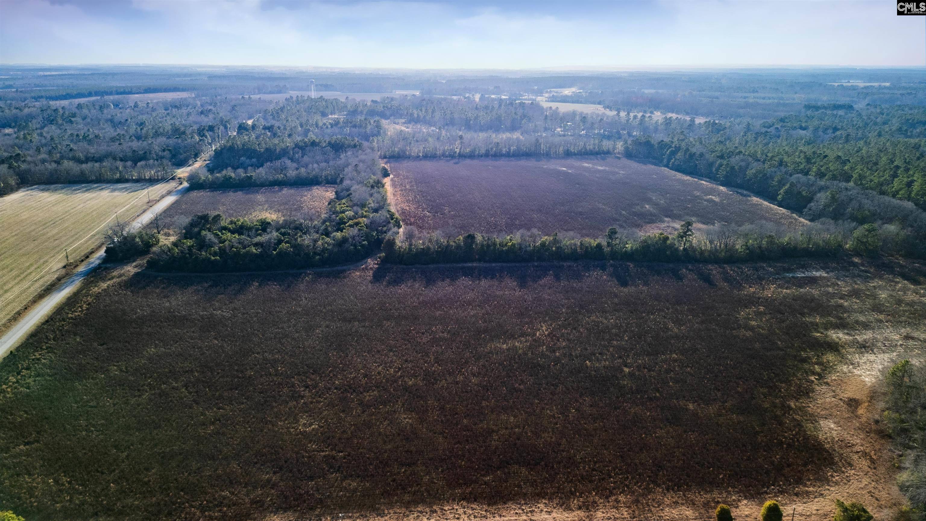 Livingston, SC 29107,SW NORTH 60 014 Comos Road