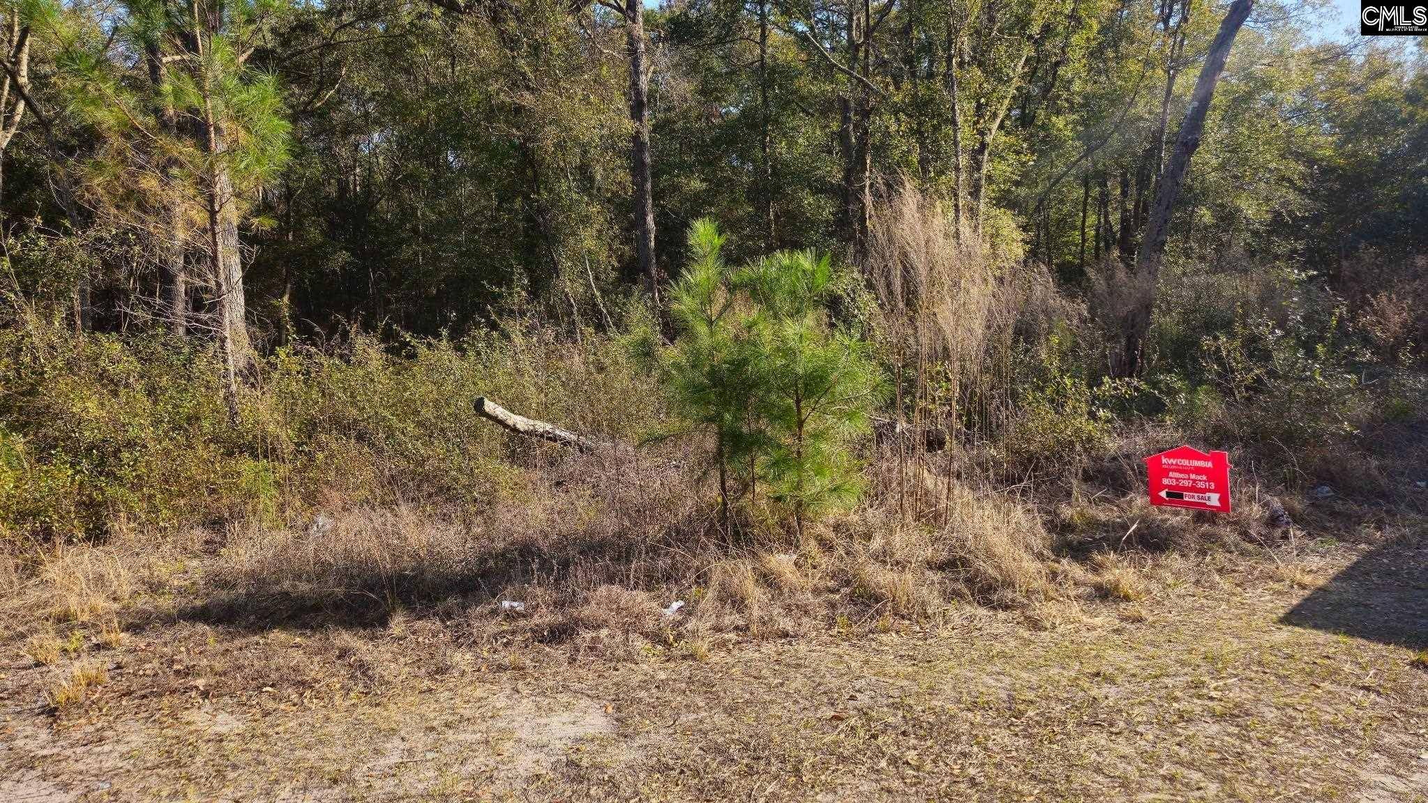 Saint Helena Island, SC 29920,37 Levant Byas Road #25