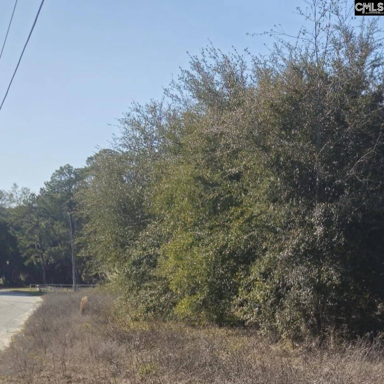 Saint Helena Island, SC 29920,37 Levant Byas Road #25