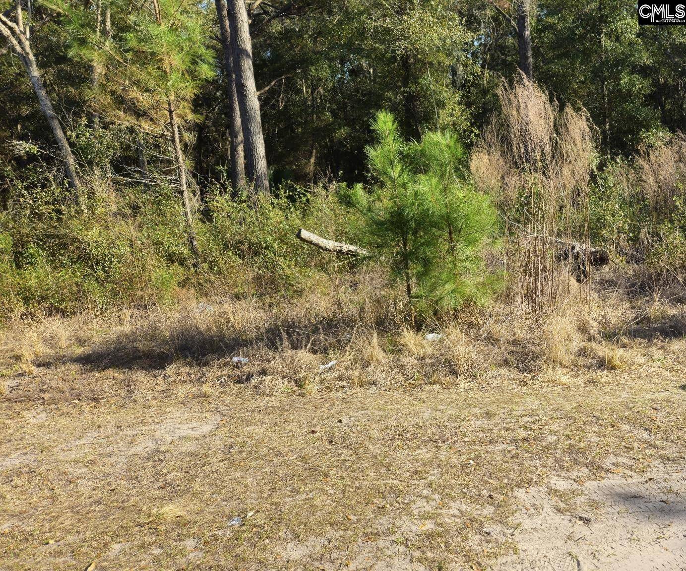 Saint Helena Island, SC 29920,37 Levant Byas Road #25