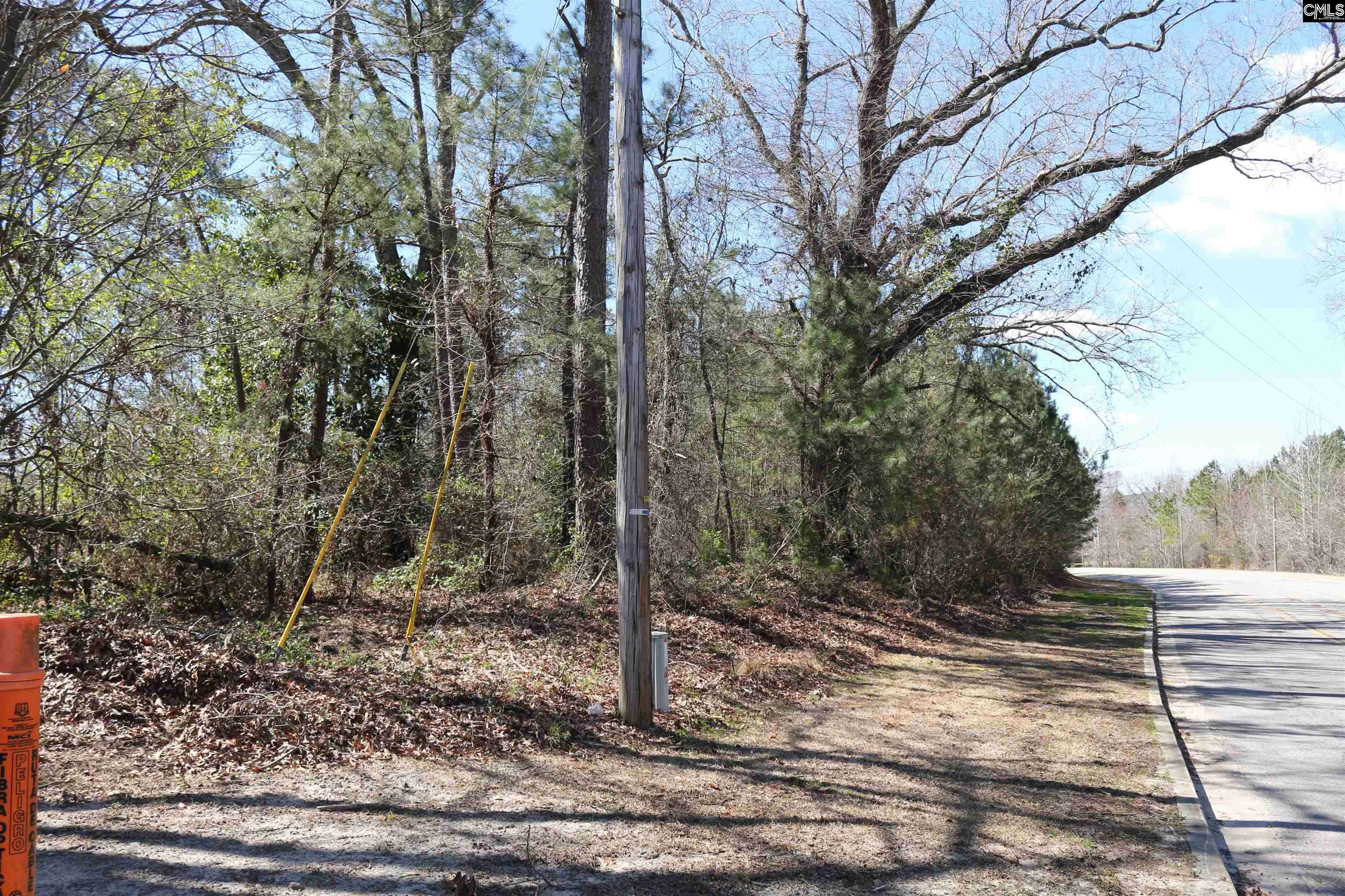 West Columbia, SC 29172,Ramblin Road #Tract A