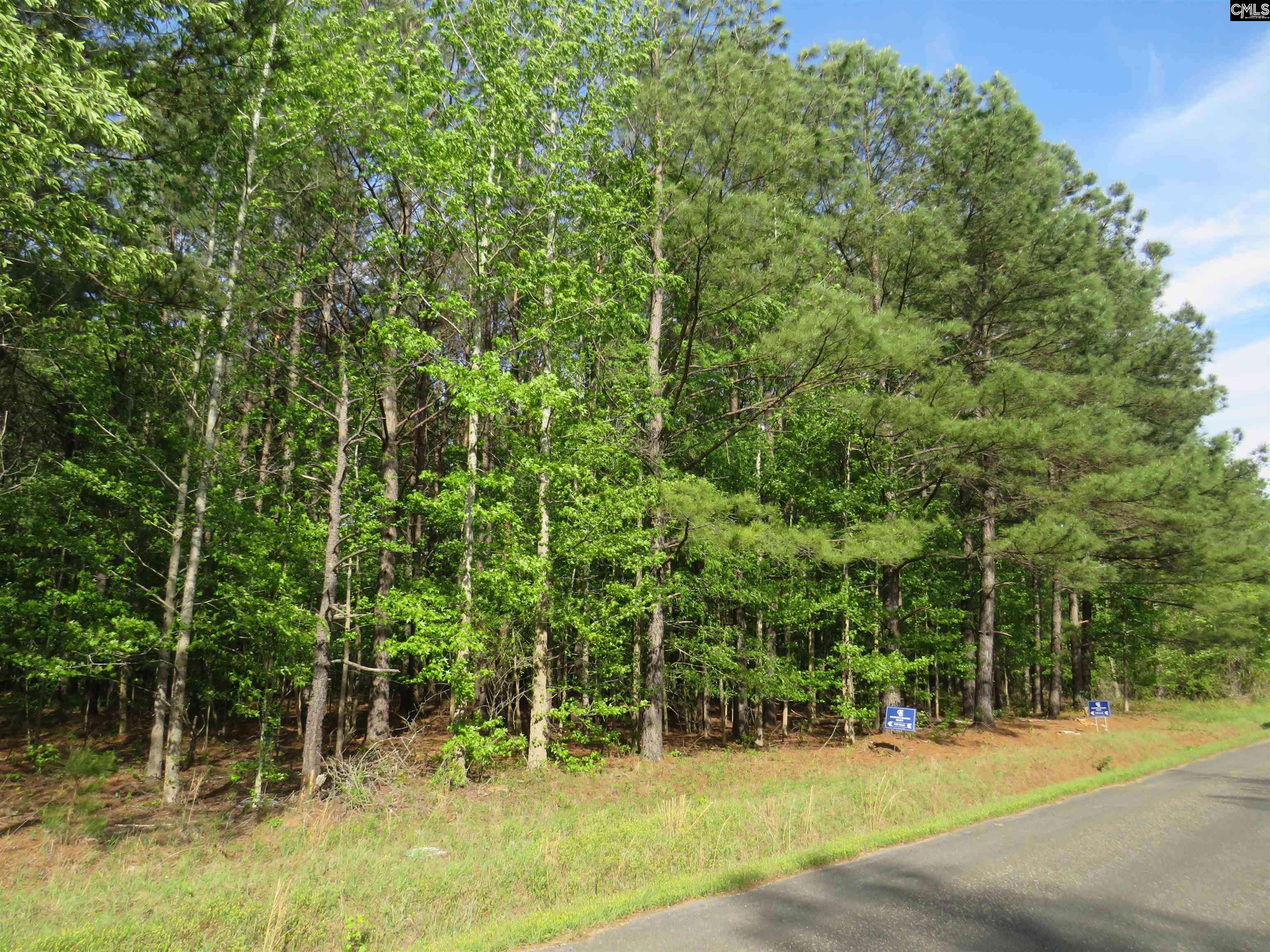 Eastover, SC 29044,N/S Hallwood Road #4