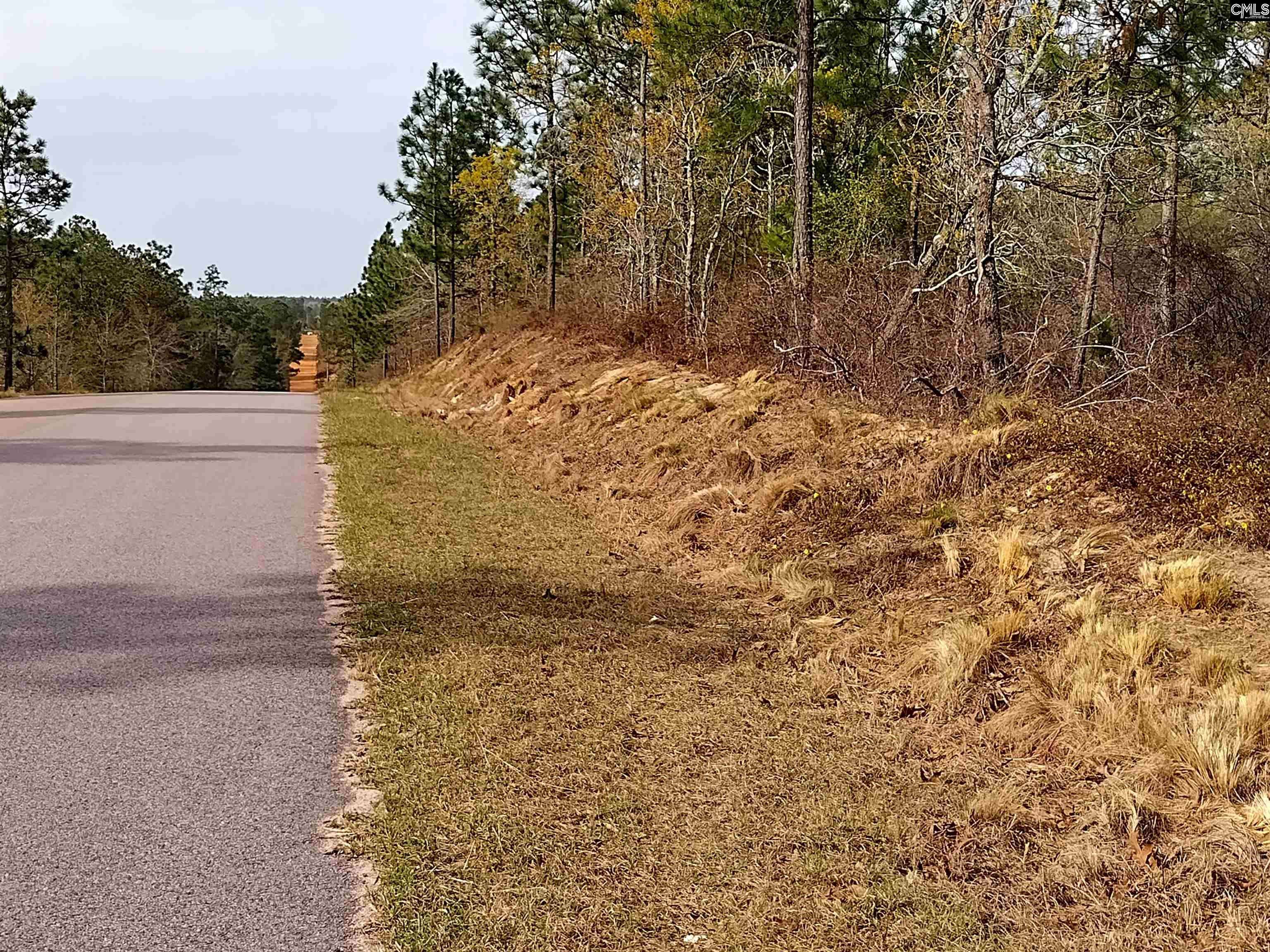 Batesburg, SC 29006,541 Holder Road
