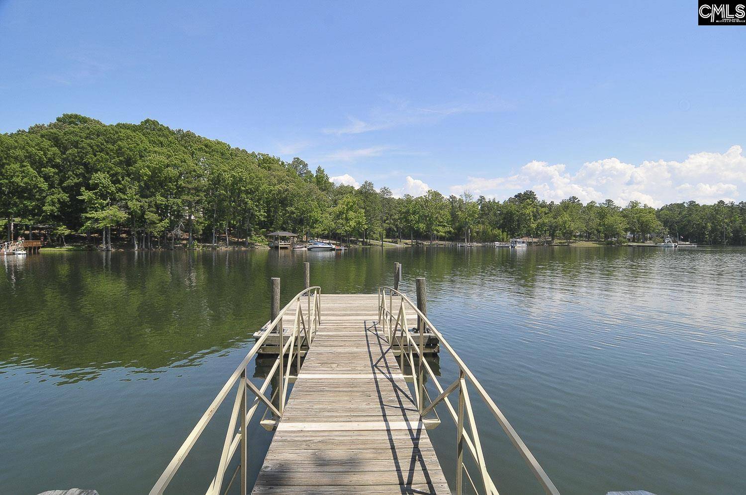 Chapin, SC 29036,110 Avalon Court