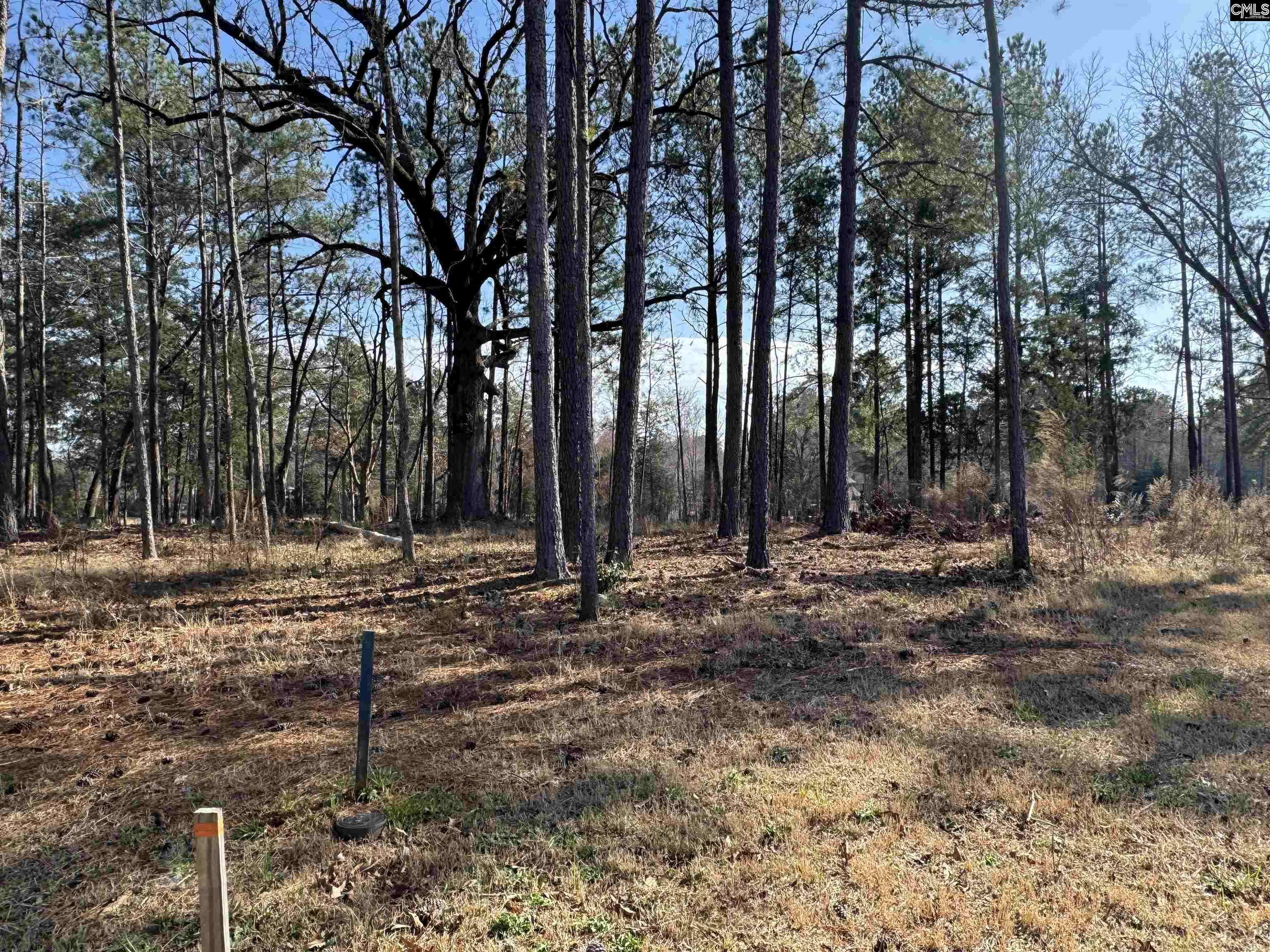 Chapin, SC 29036,Misty Banks Drive #2