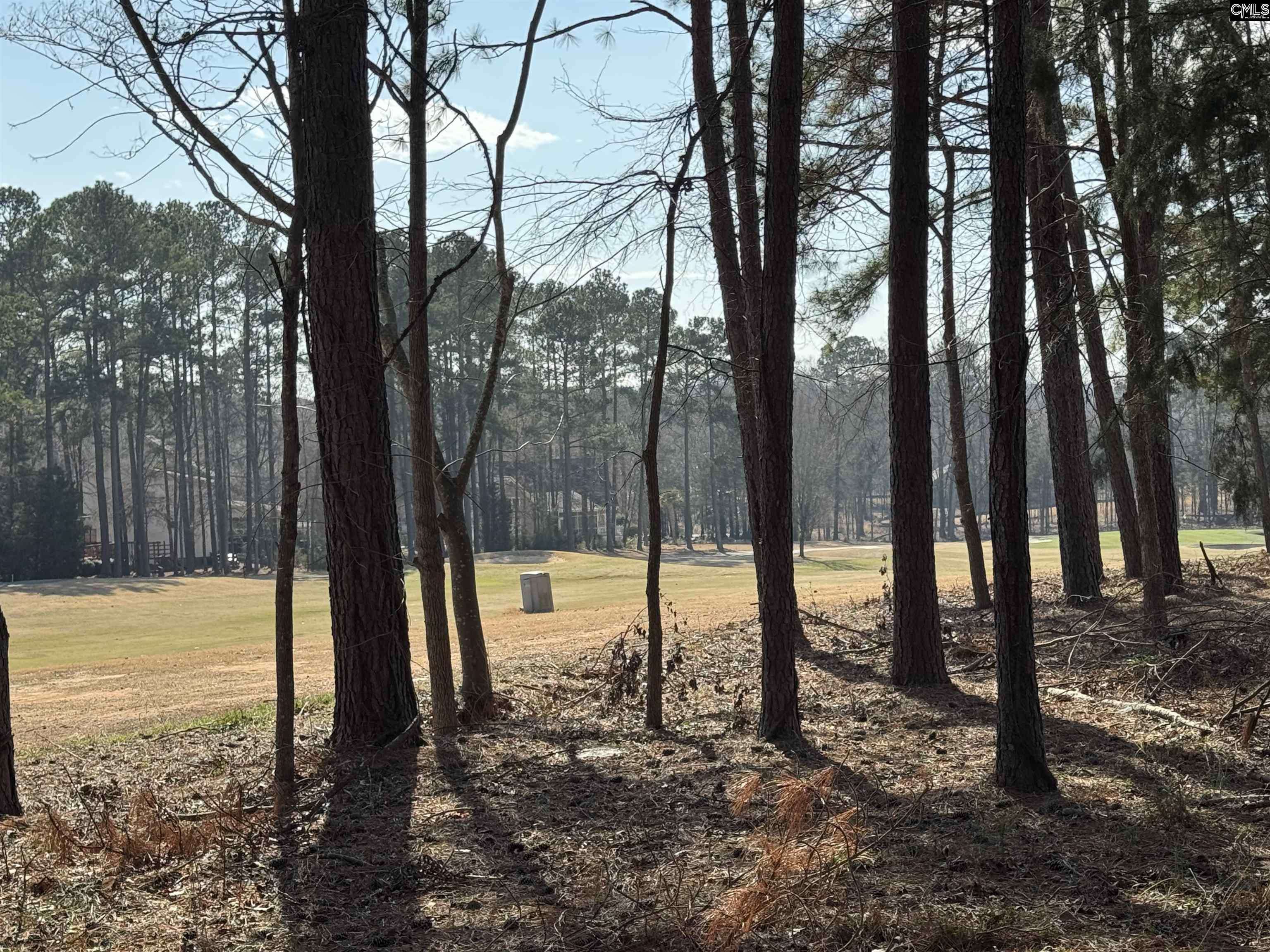 Chapin, SC 29036,Misty Banks Drive #2