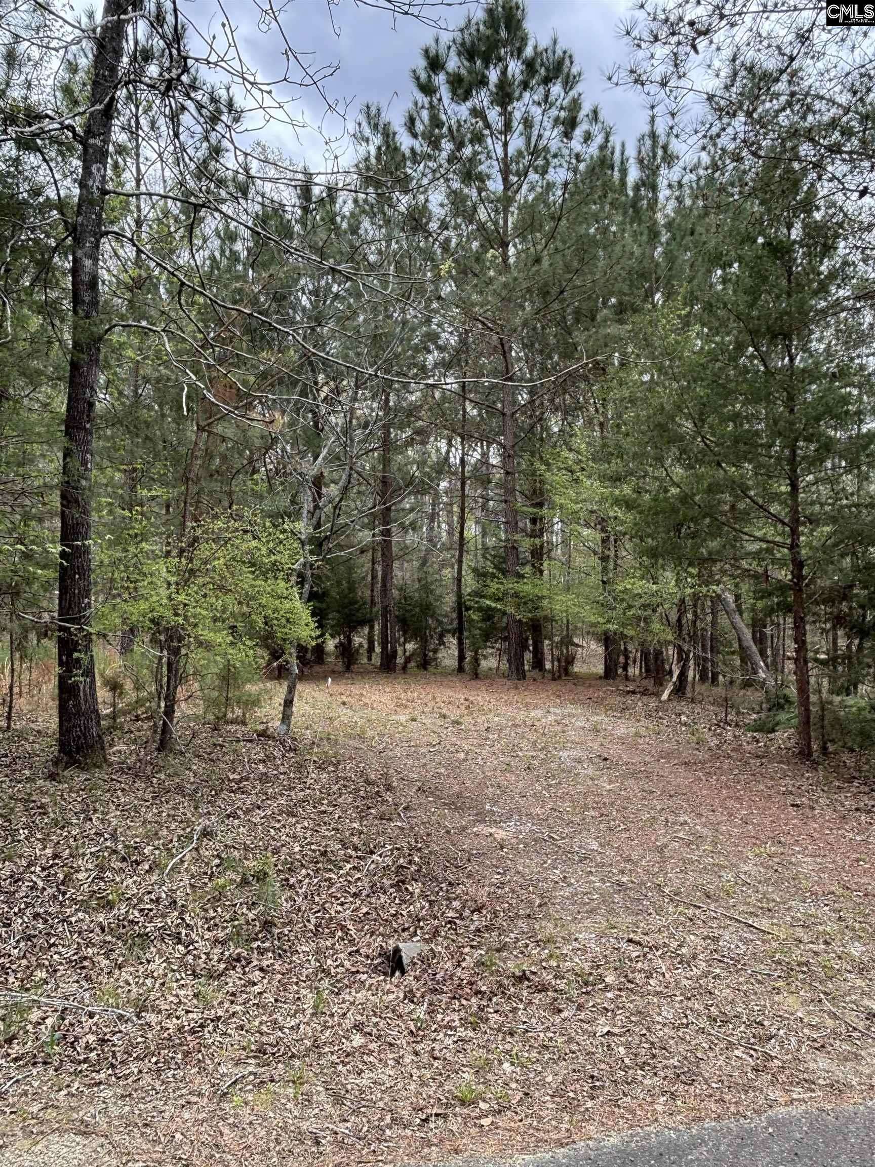 Batesburg, SC 29006,231 Tortoise Trail #5