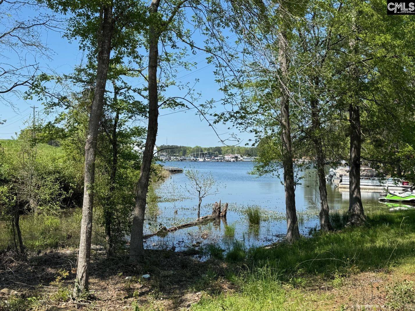 Gilbert, SC 29054,113 Marina Cove Drive #3