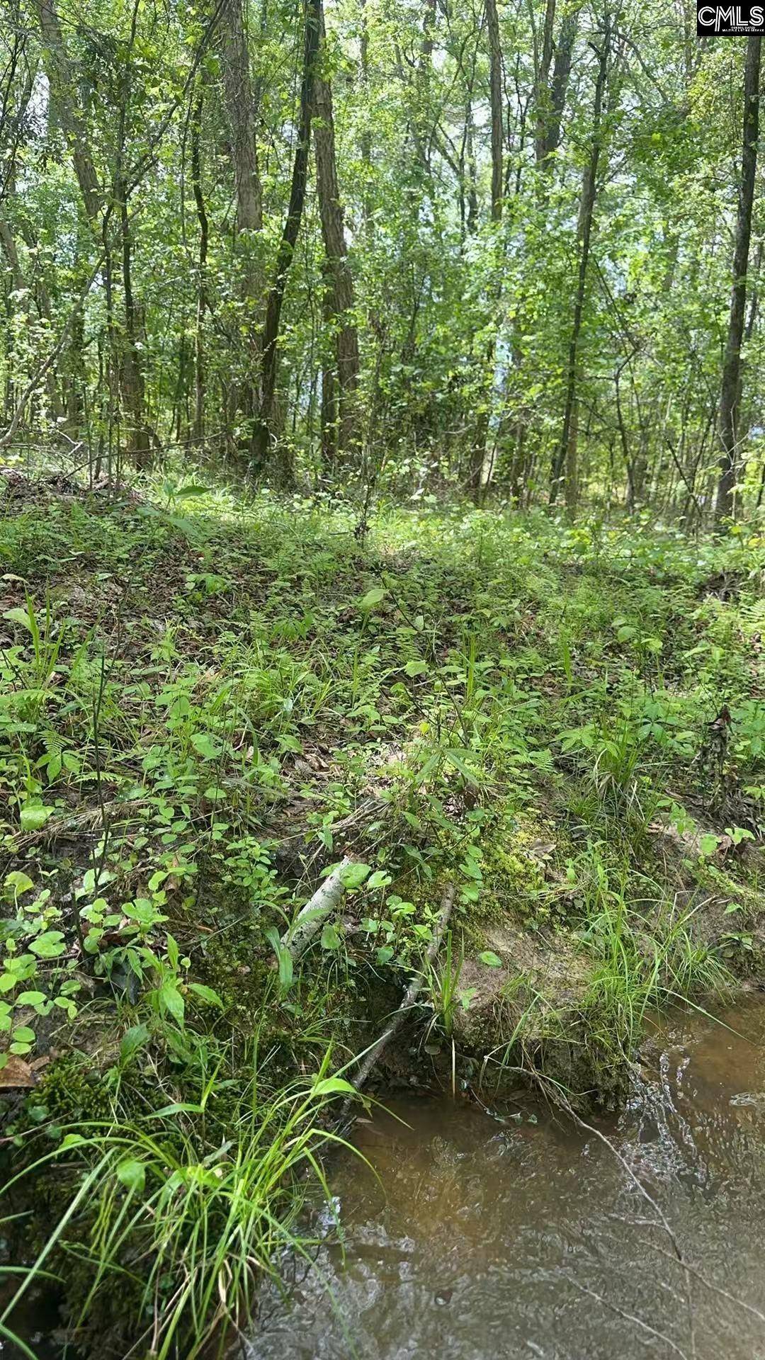 Elgin, SC 29045,440 Paschal Road
