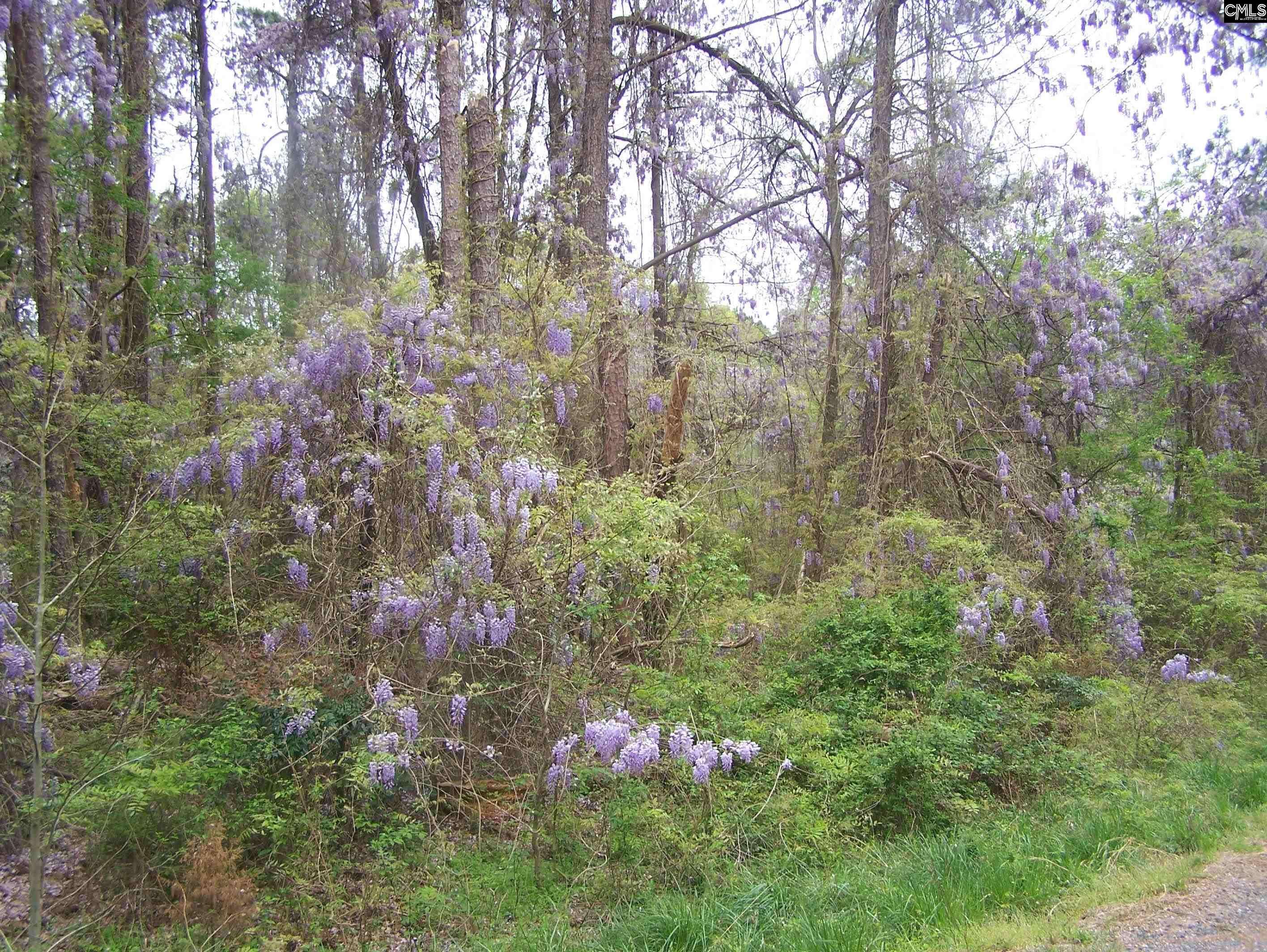 Blair, SC 29015,TBD Kelly Court #C