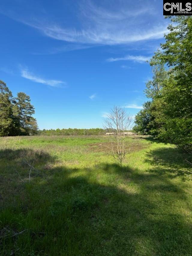 Batesburg, SC 29006,Mitchell St