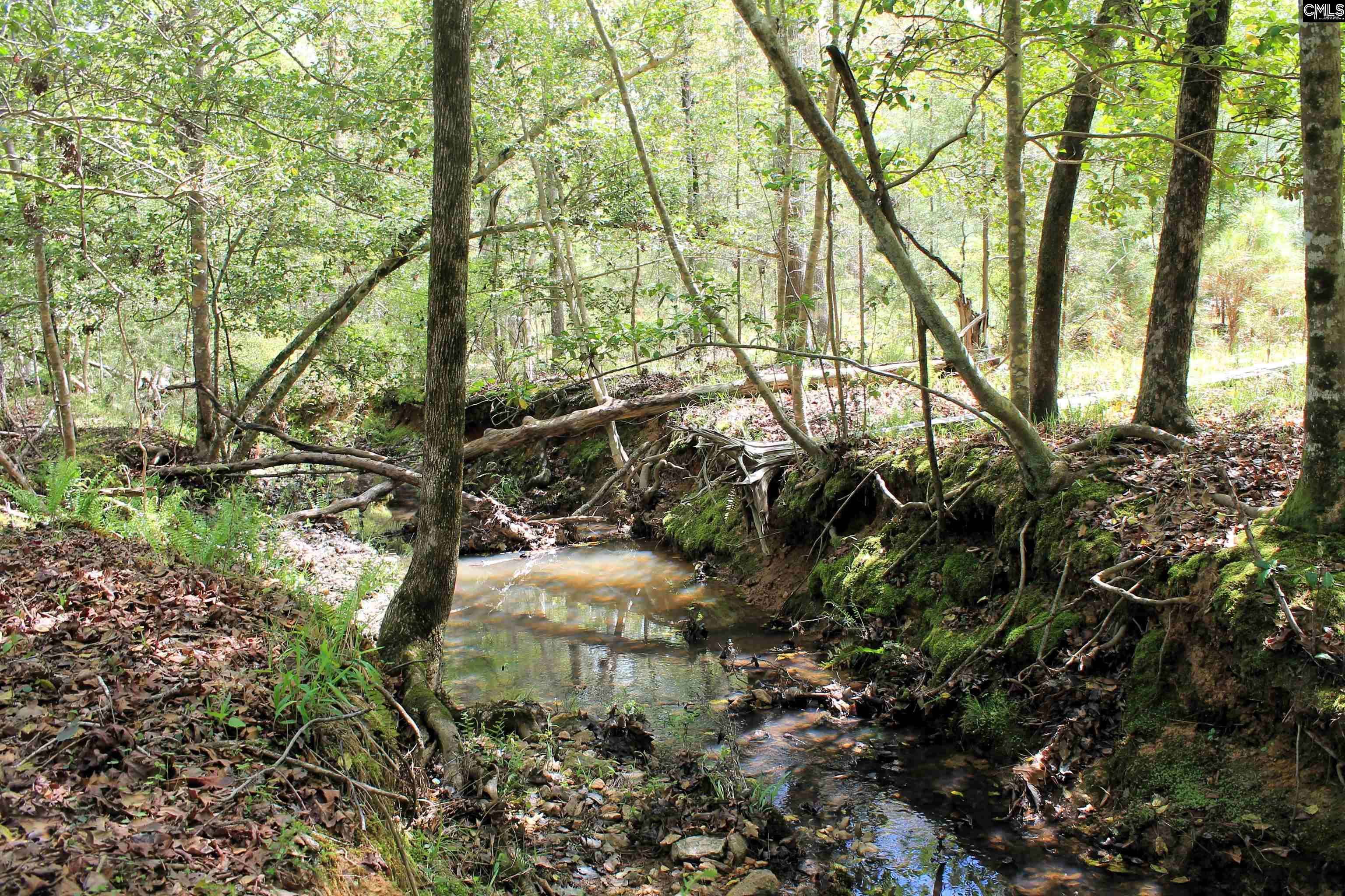Chapin, SC 29036,TBD Crooked Creek Road