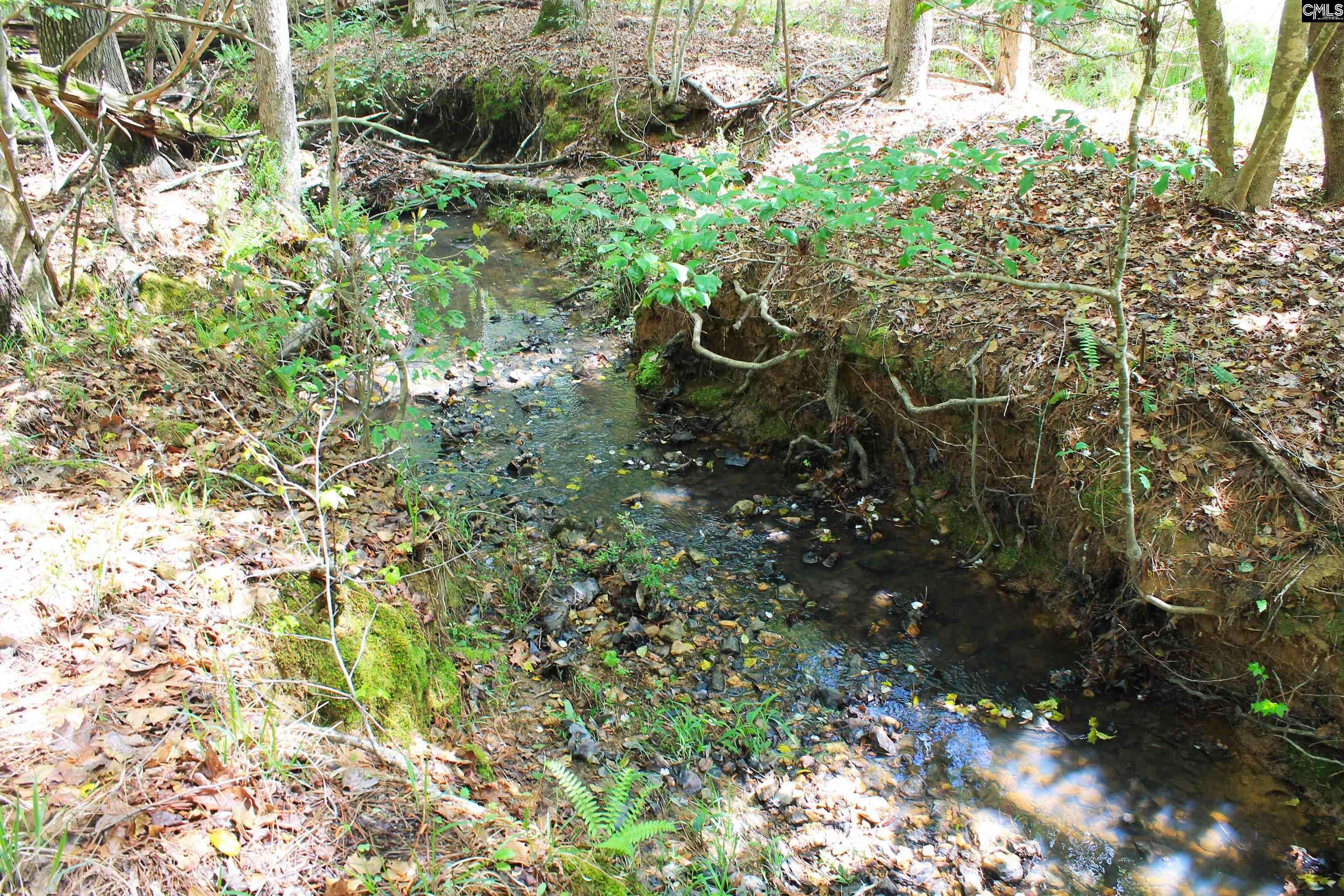 Chapin, SC 29036,TBD Crooked Creek Road