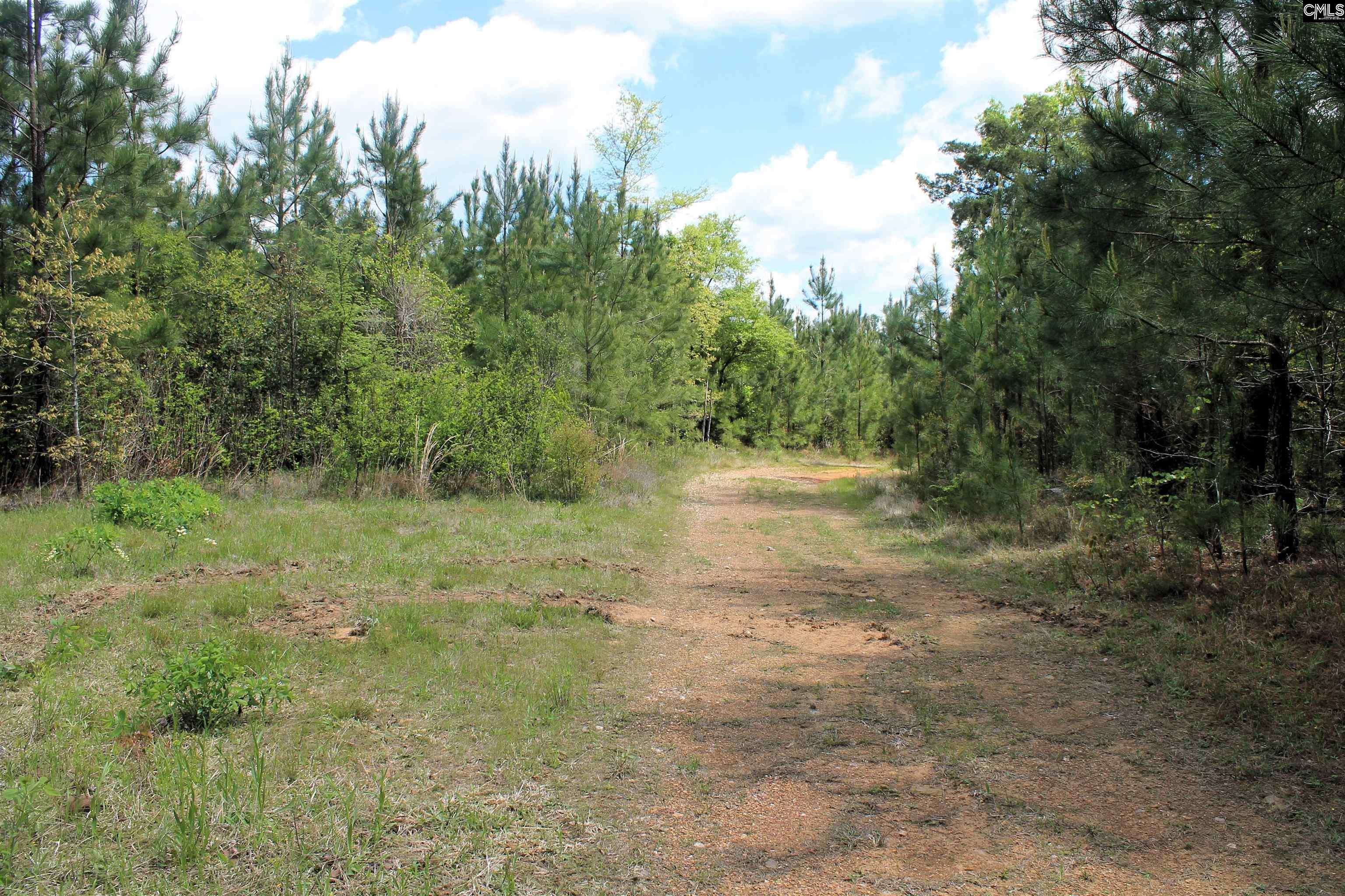 Chapin, SC 29036,TBD Crooked Creek Road