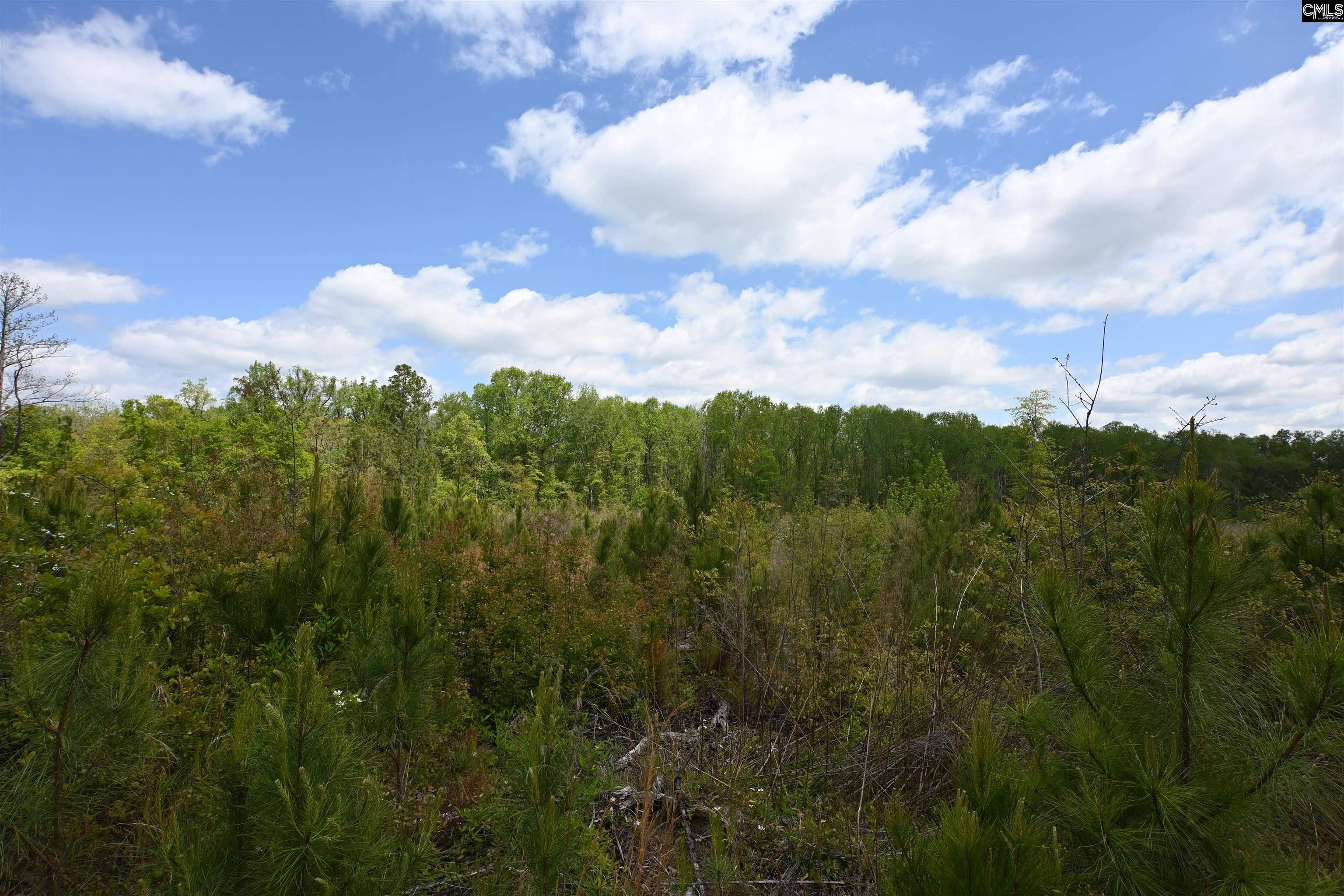 West Columbia, SC 29169,0 Platt Springs Road