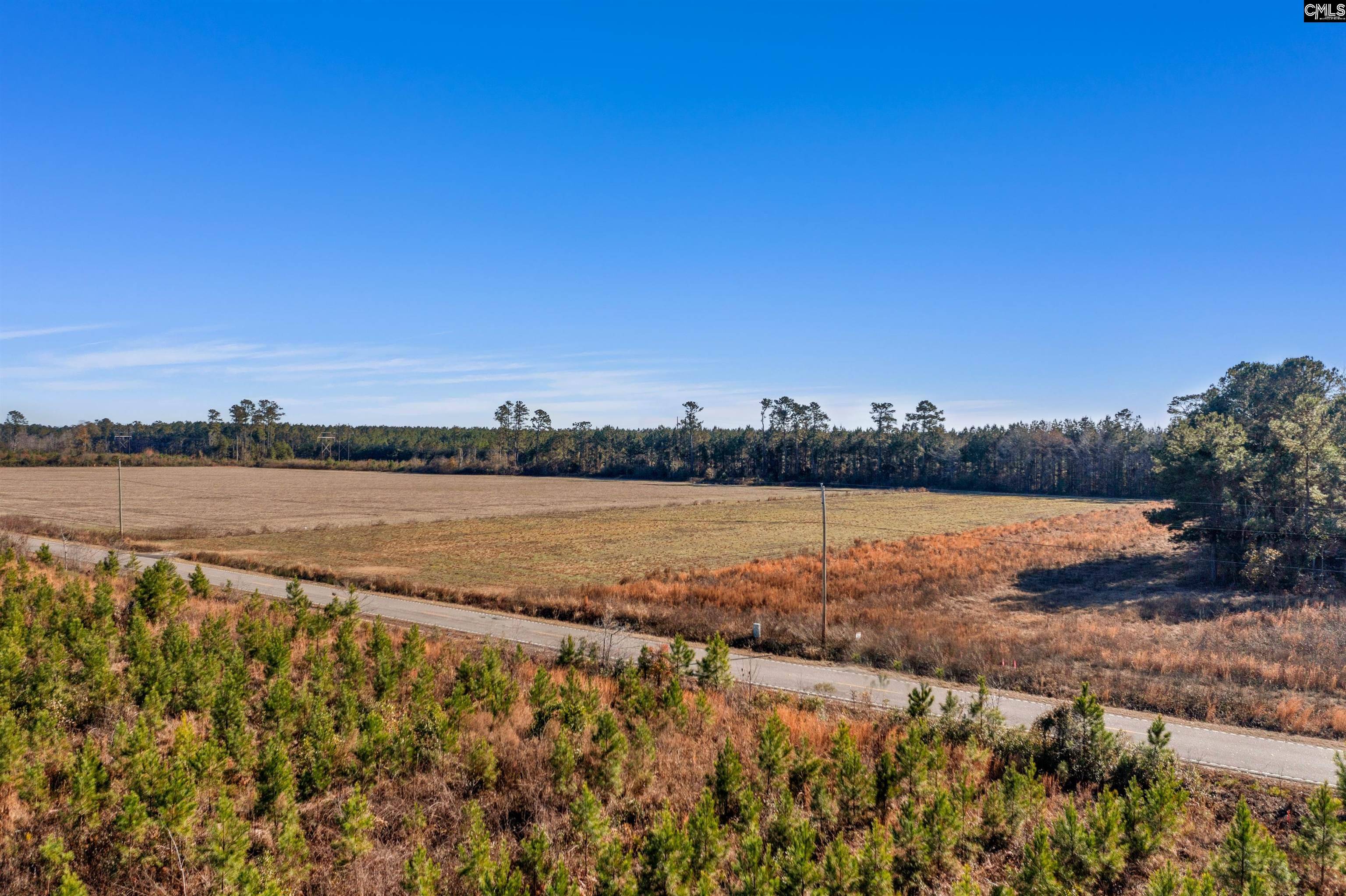 Hemingway, SC 29554,1745 Williams Hill Road 4