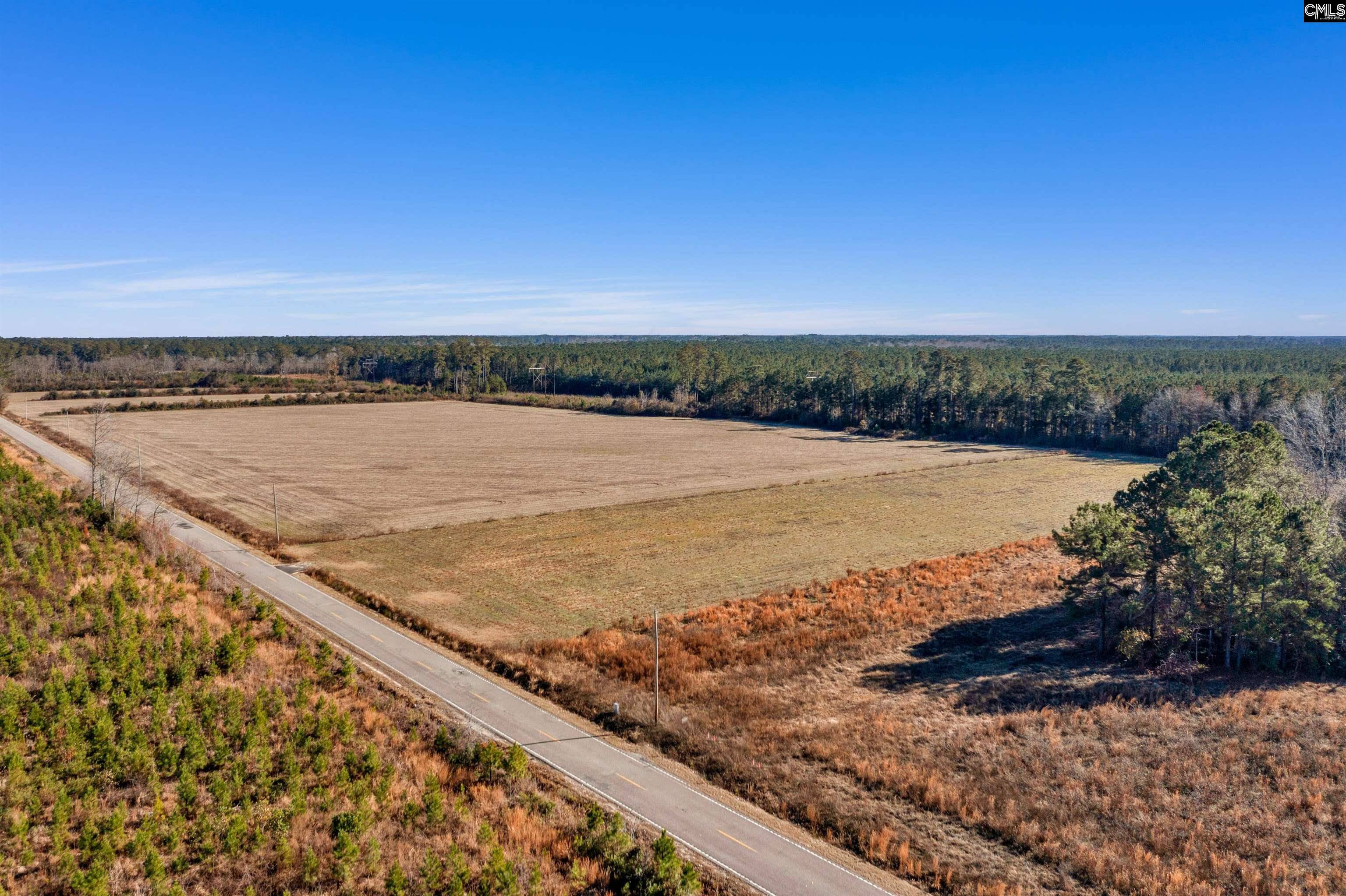 Hemingway, SC 29554,1745 Williams Hill Road 4