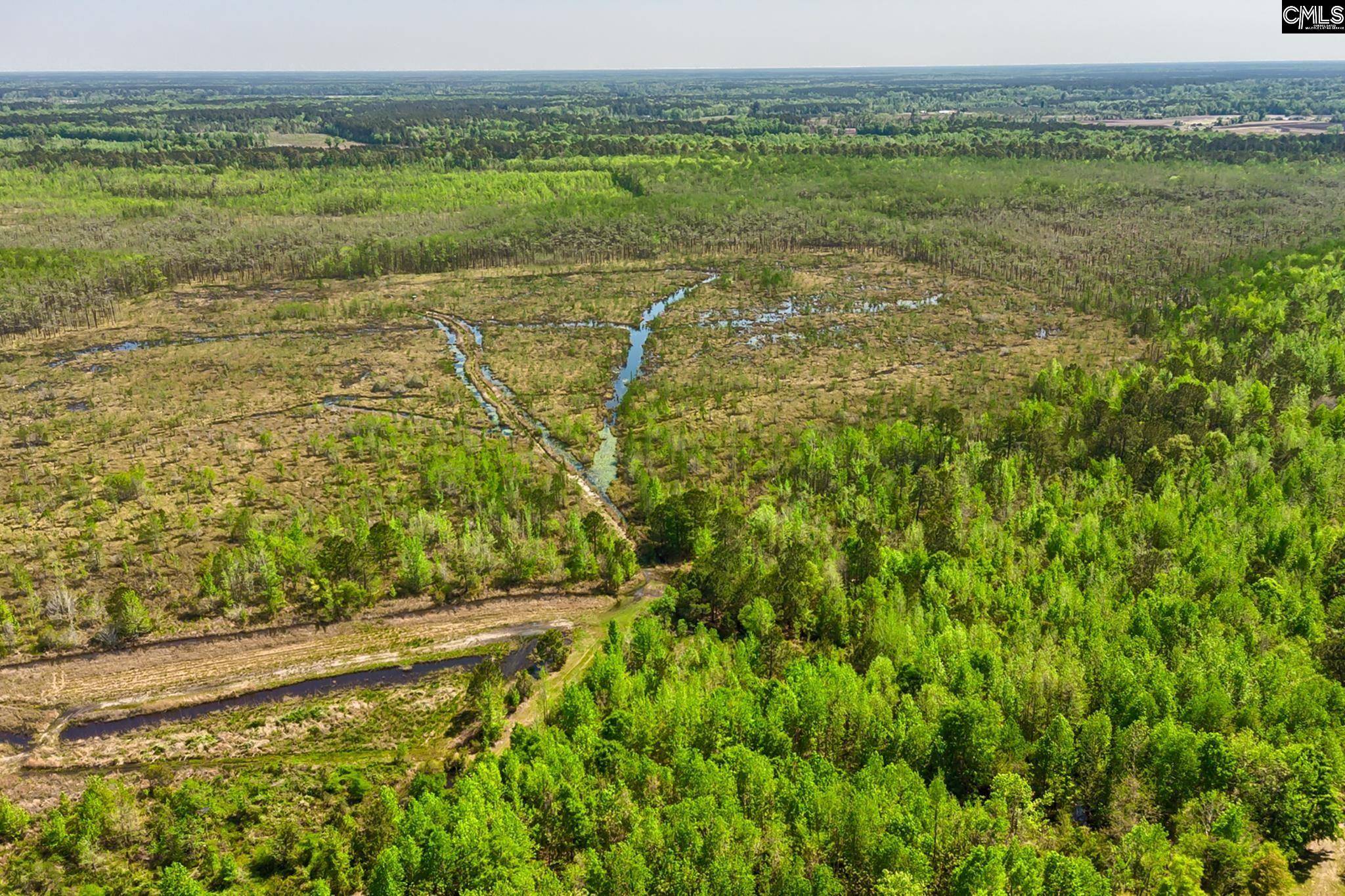 Bamberg, SC 29843,TBD Alligator Road