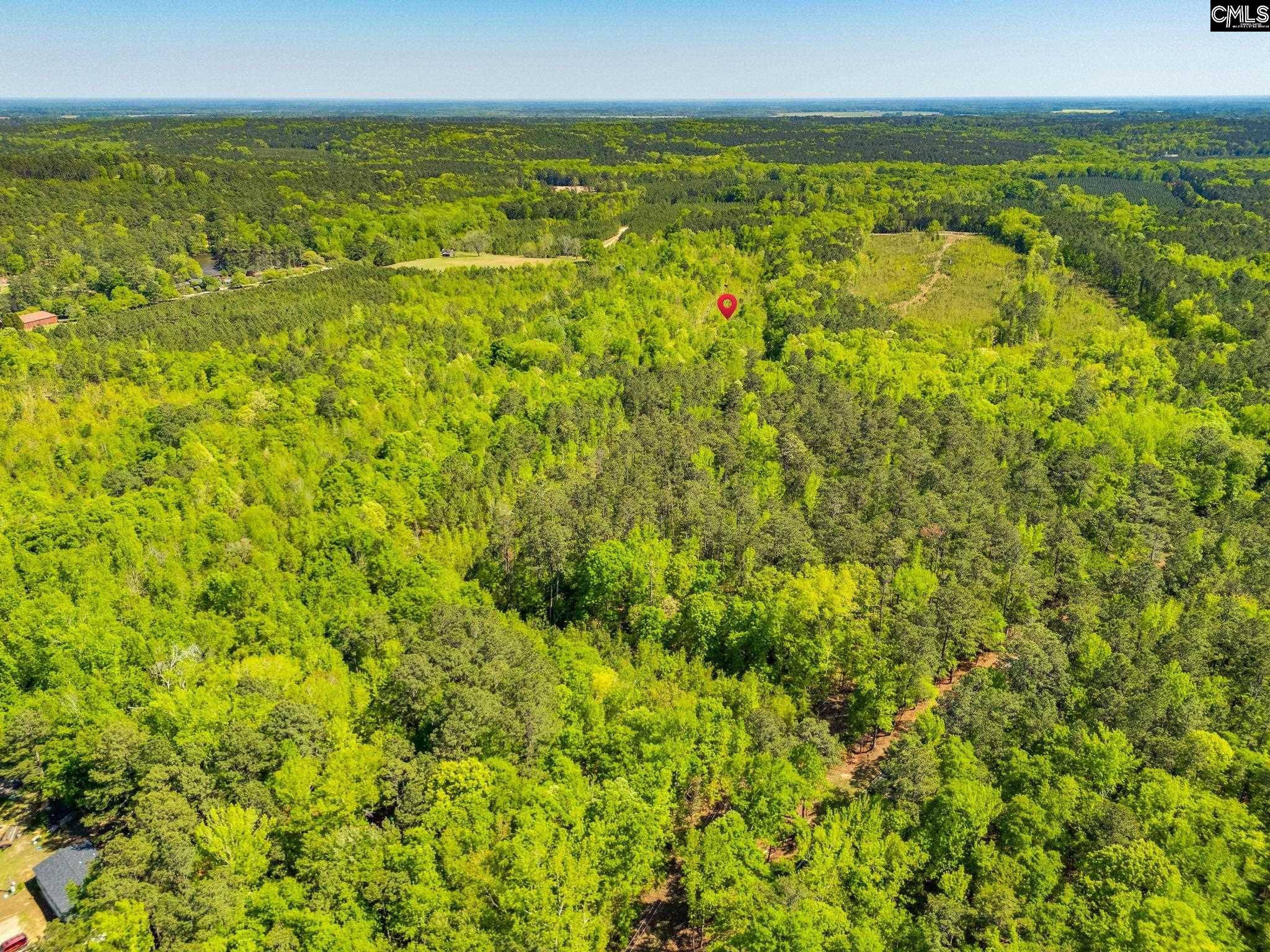 Rembert, SC 29128,Black River Road