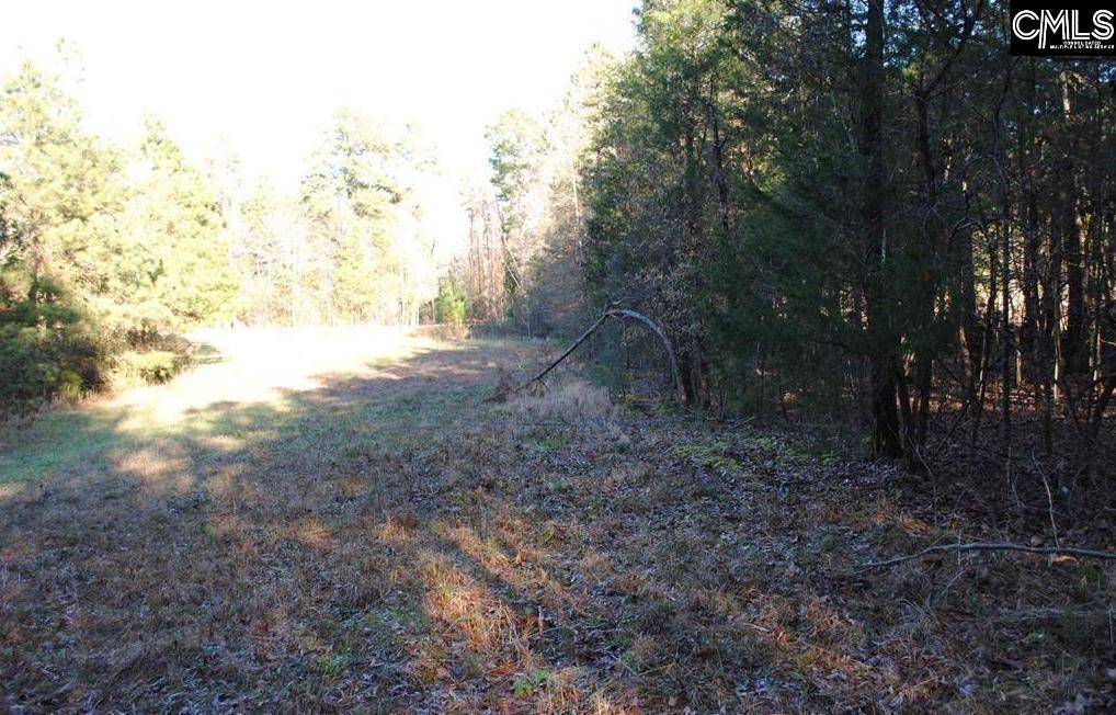 Chapin, SC 29036,E/S Old Hilton Road