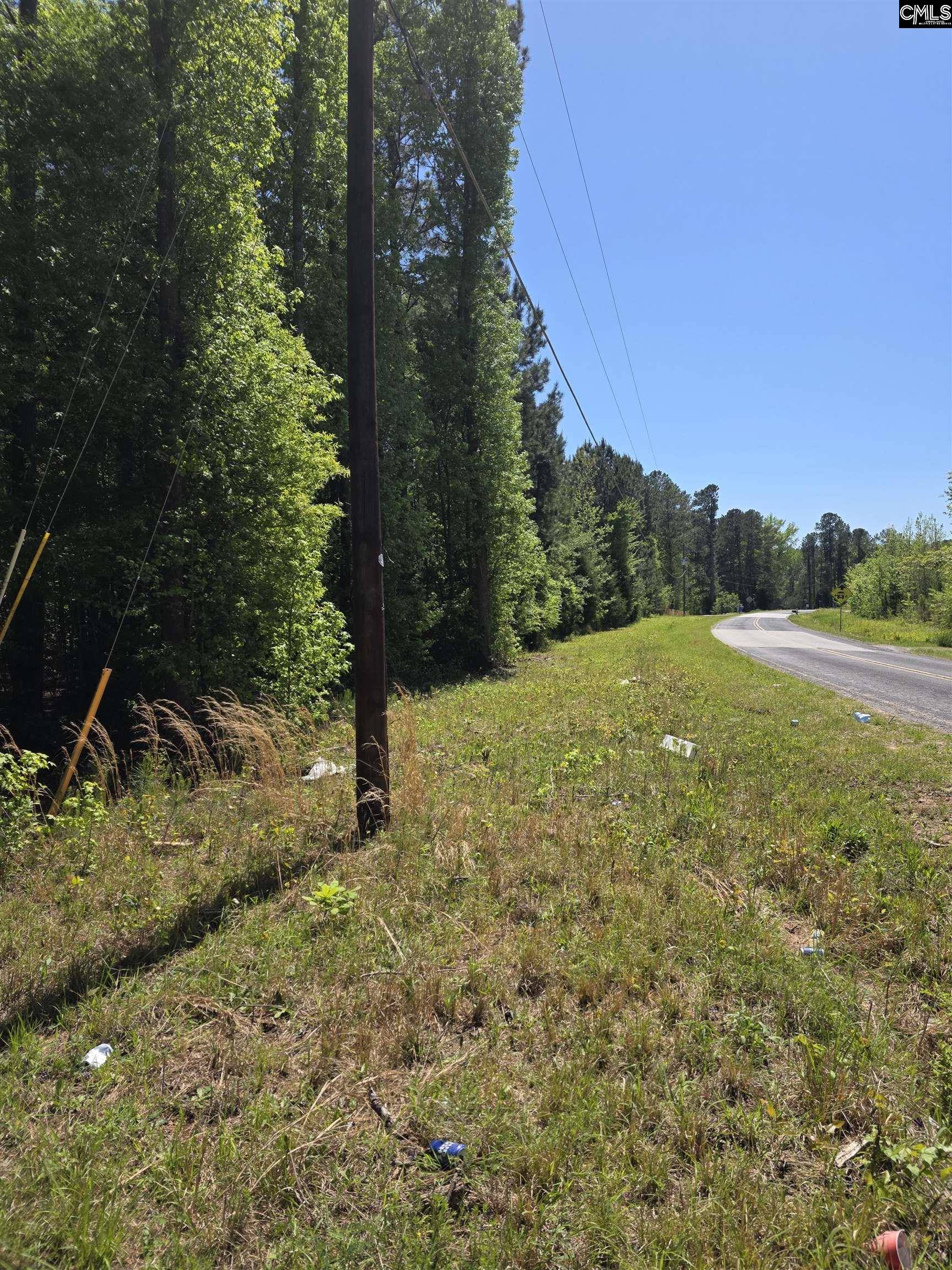 Little Mountain, SC 29036,Lazy Brook Drive