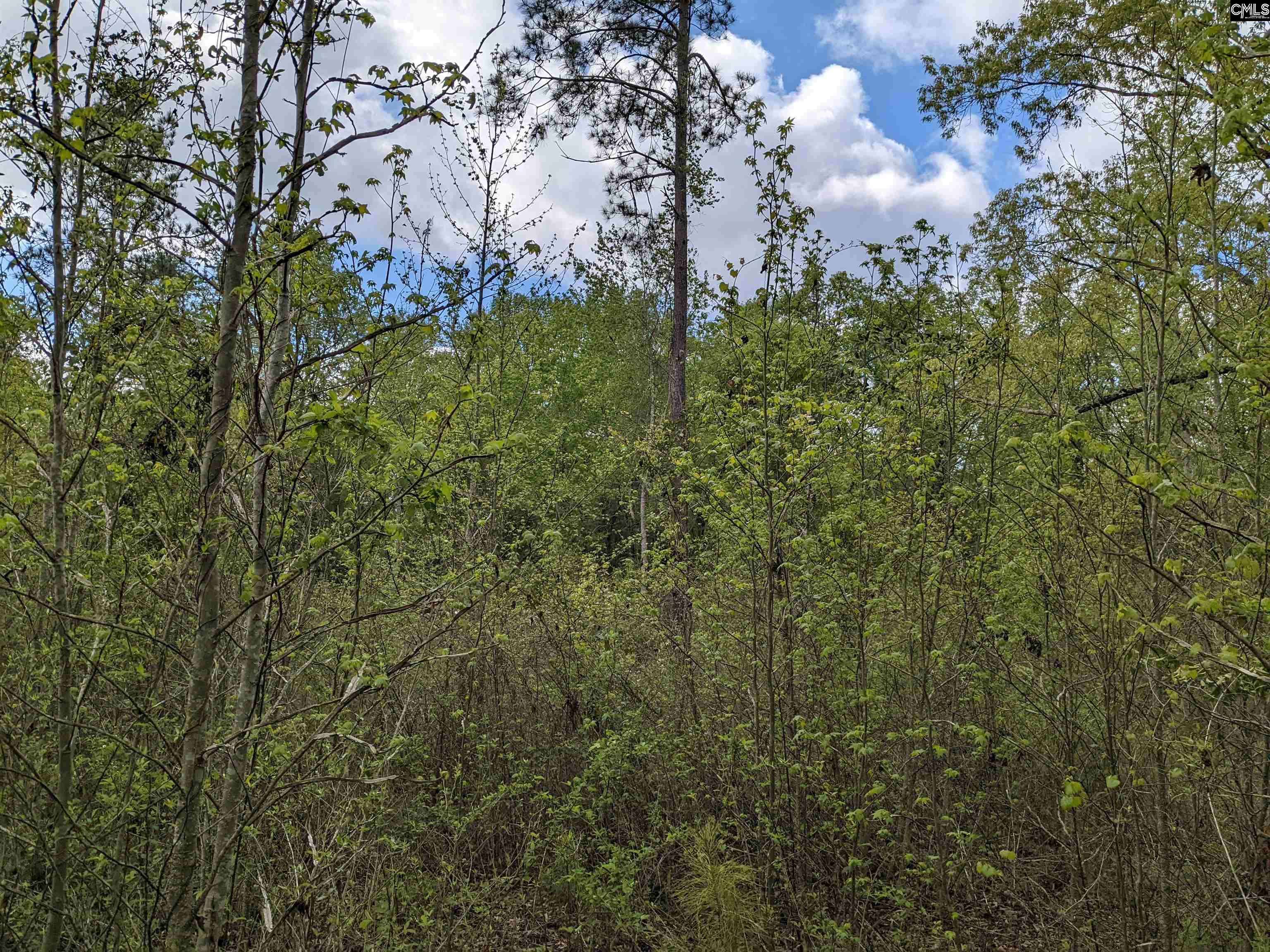 Elgin, SC 29045,2206 Highway 1