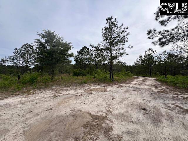 Wagener, SC 29164,FYF 4 Fox Young Rd FYF 4 #FYF 4