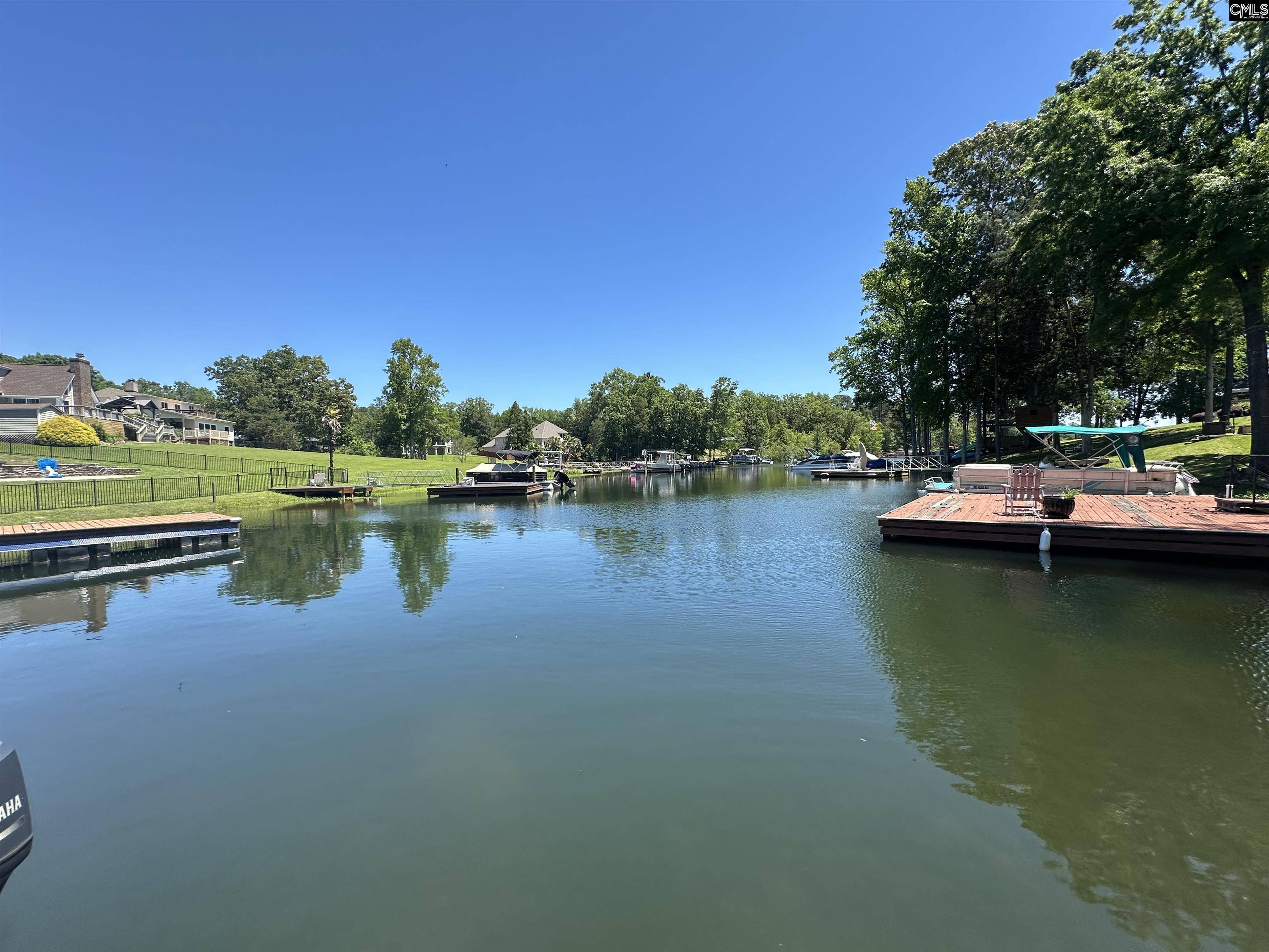 Chapin, SC 29036,107 Old Sawmill Trail