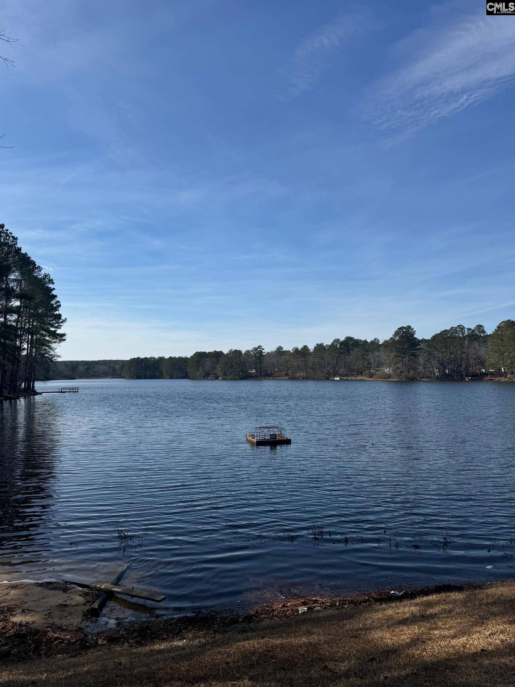 Swansea, SC 29160-8466,393 Calmont Drive
