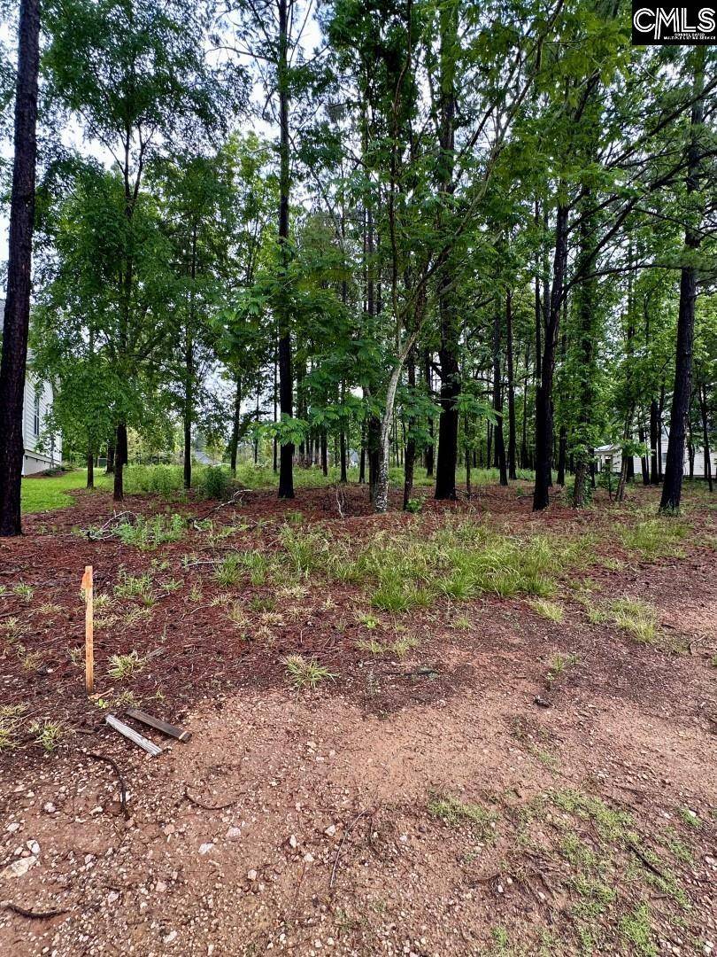 Chapin, SC 29036,513 Misty Banks Drive #Lot 3