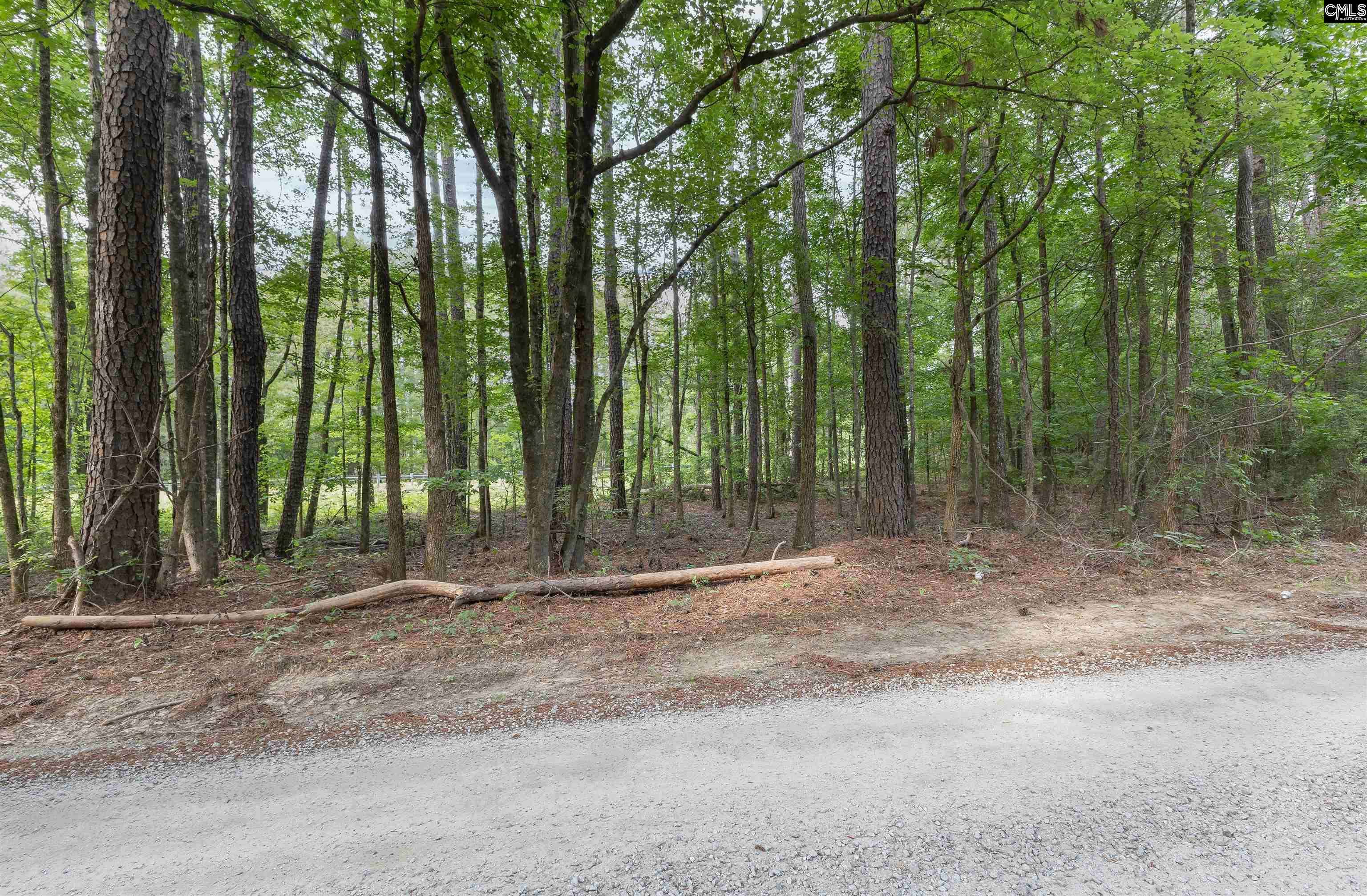 Chapin, SC 29036,TBD St. Peters Church Road