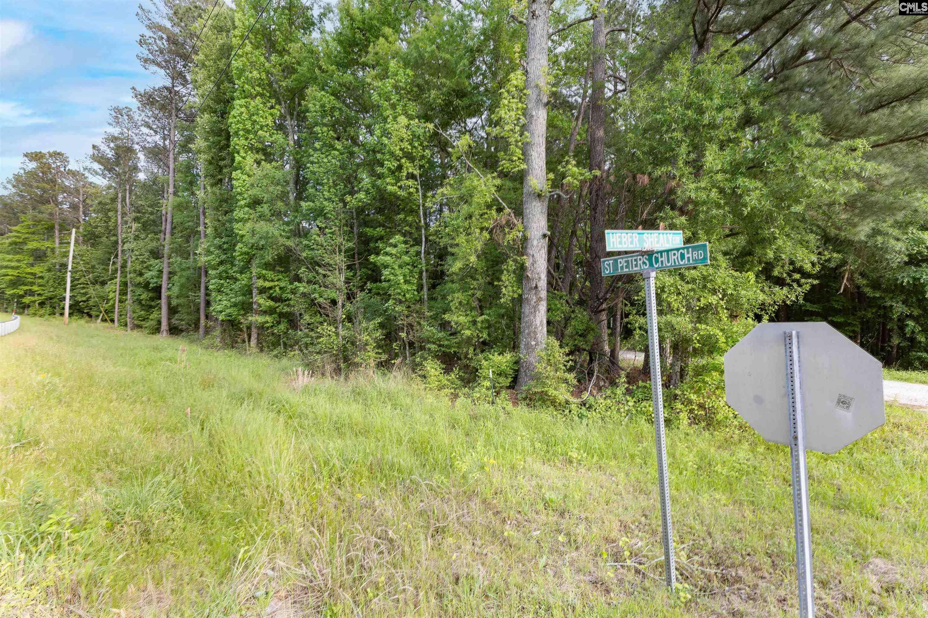 Chapin, SC 29036,TBD St. Peters Church Road