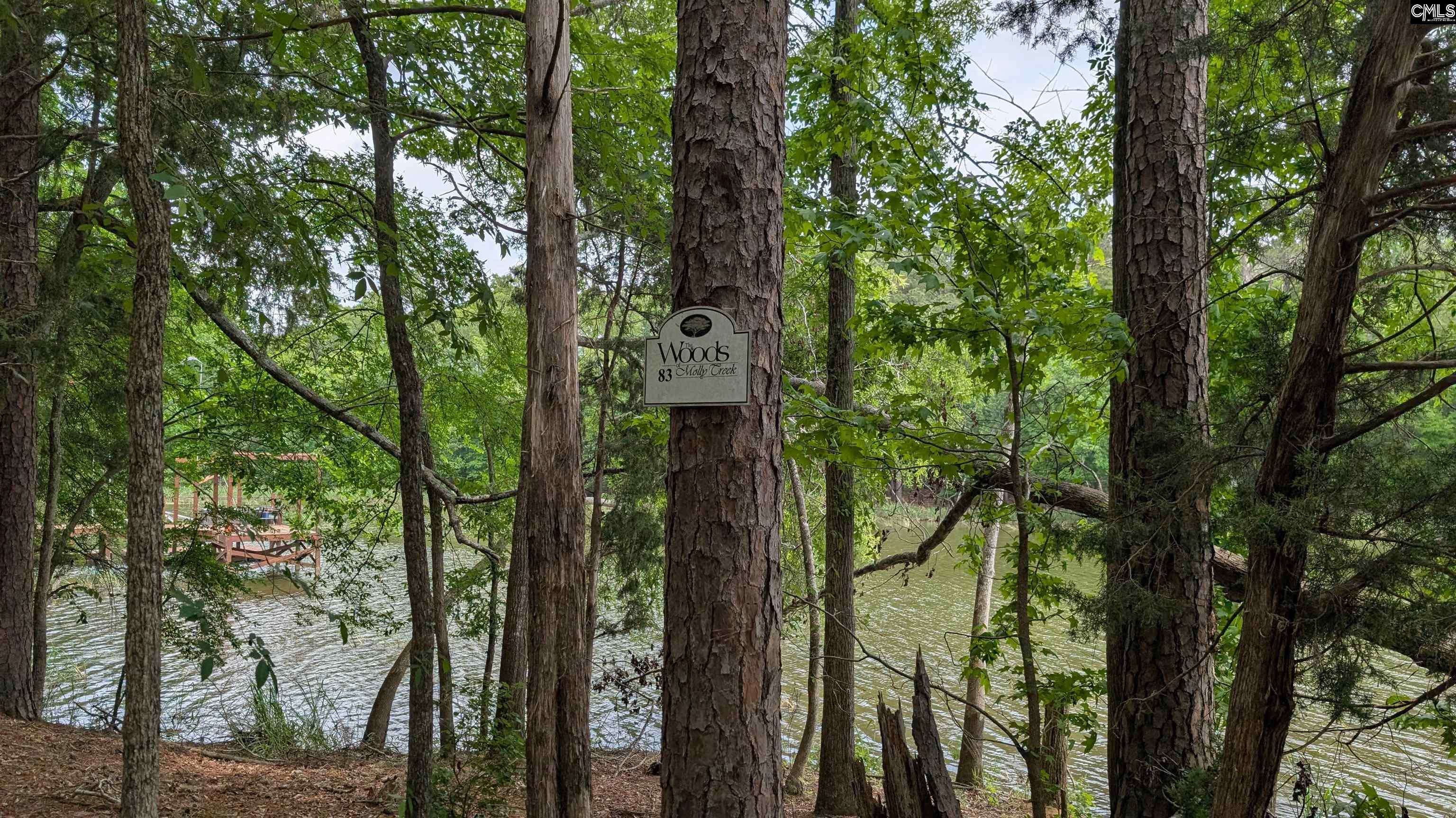 Ridgeway, SC 29130-0000,Lot 83 Retreat Way #83