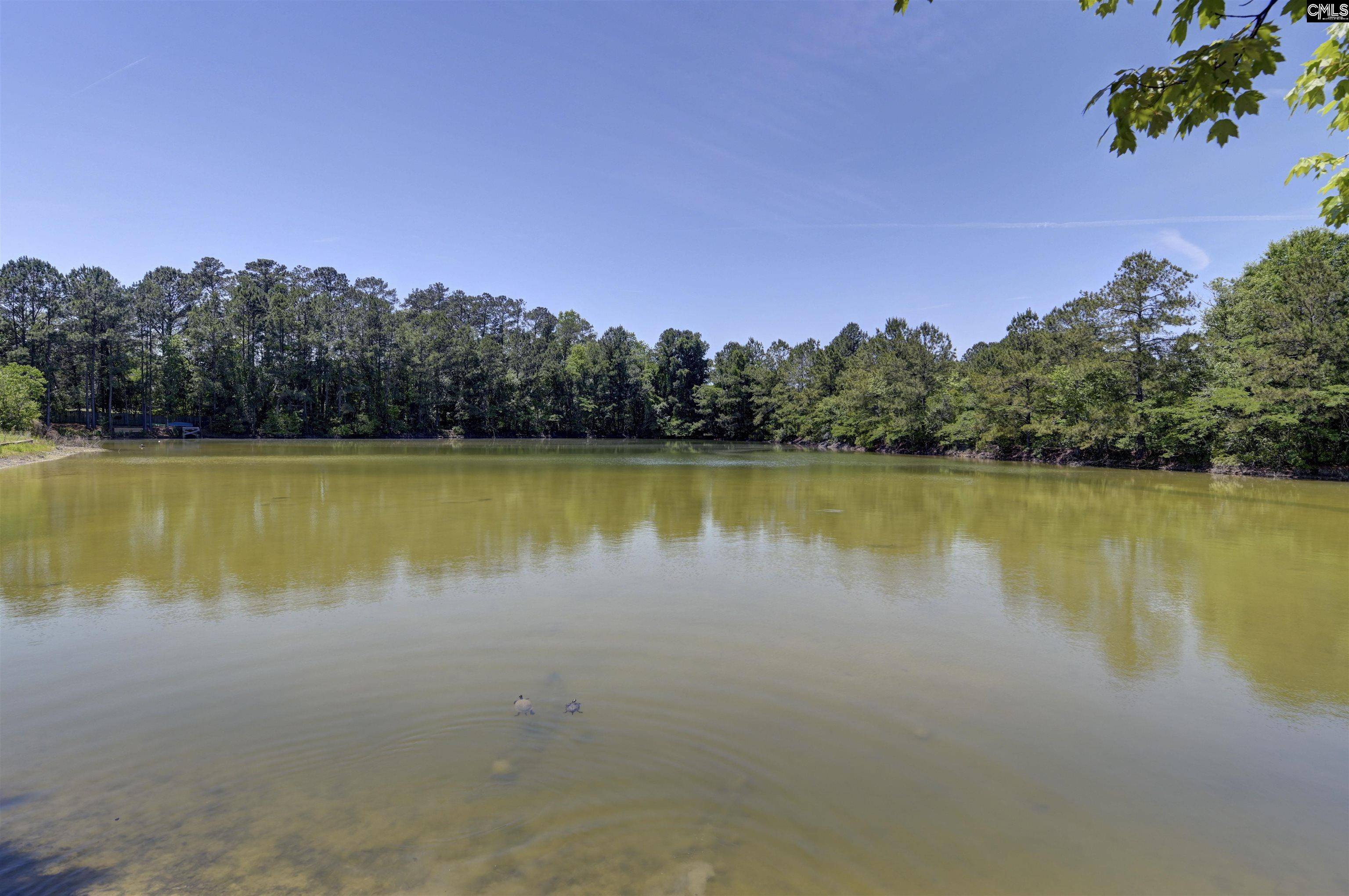 Columbia, SC 29223-3134,10 N Sweetbriar Lane
