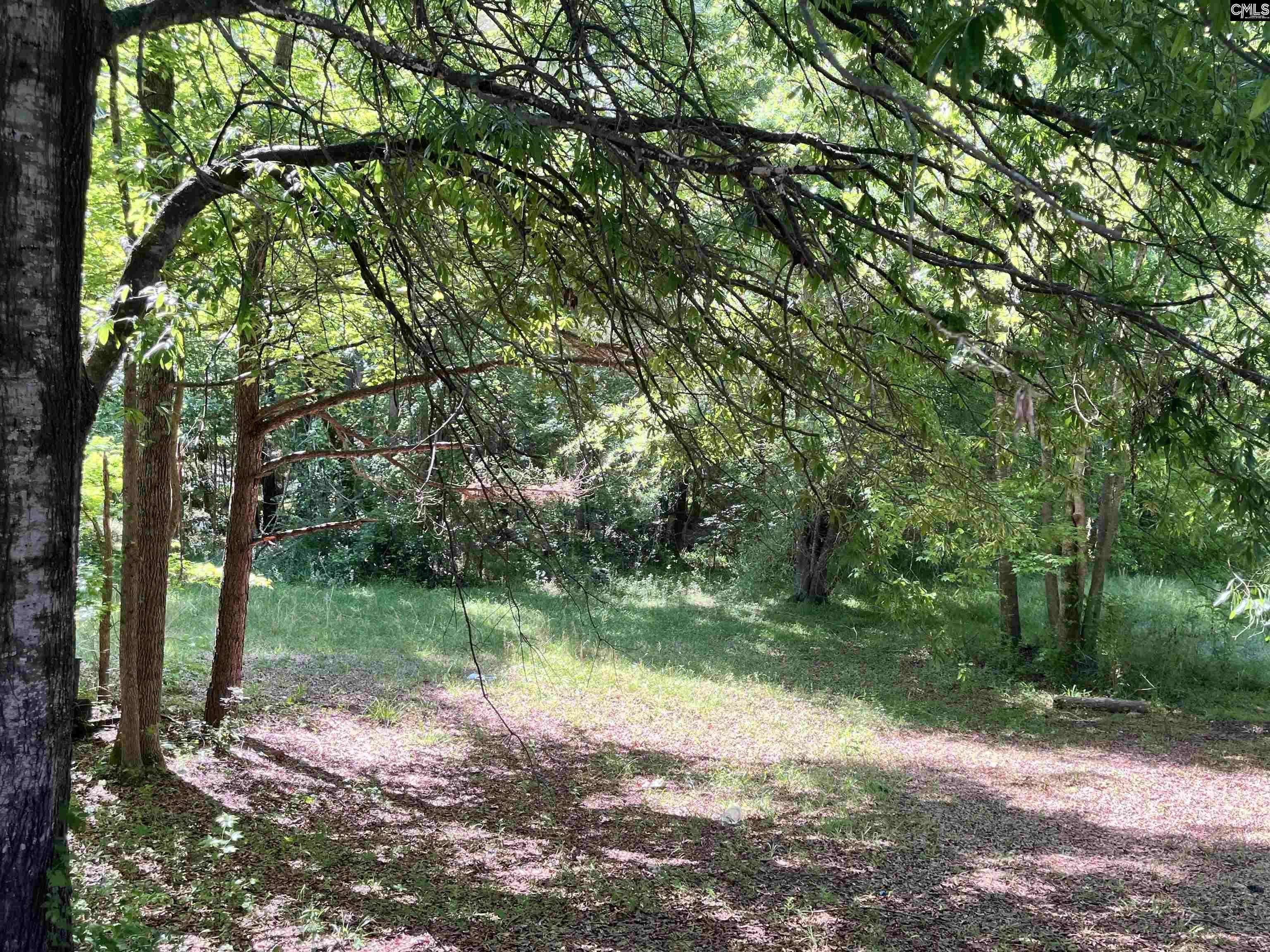 Ridgeway, SC 29130,6726 E Peach Road