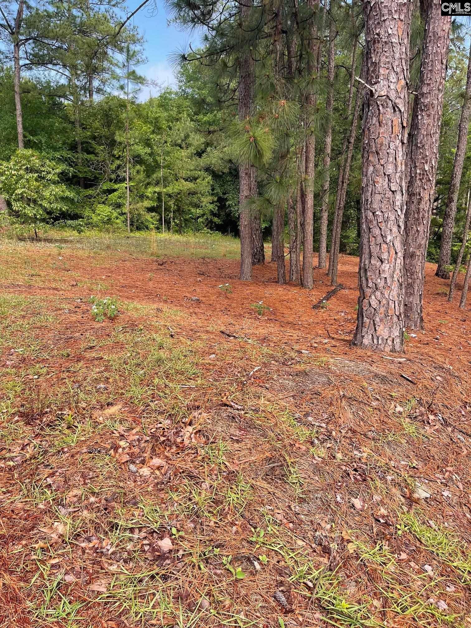 Columbia, SC 29223,2233 Bee Ridge Road