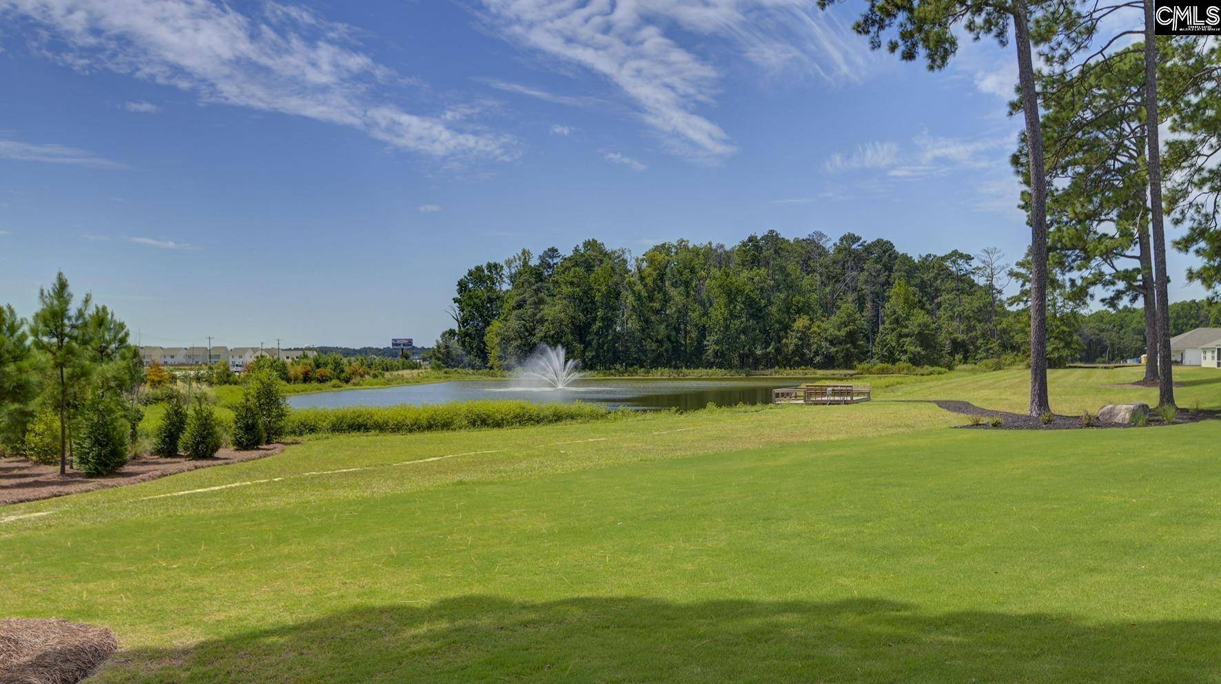 Gilbert, SC 29054,344 Babcock Way