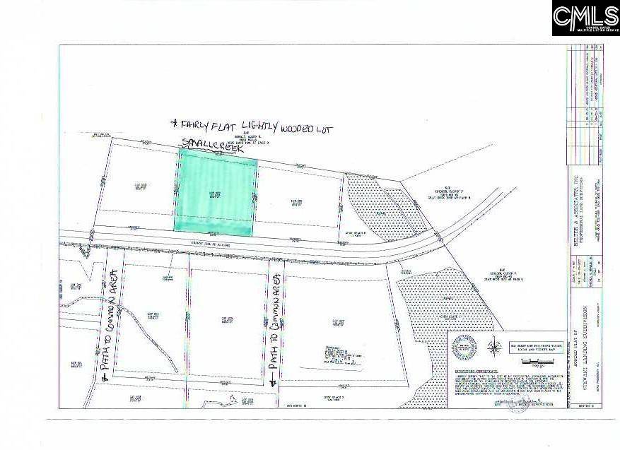 Prosperity, SC 29127,LOT 229 Granny Hill Road #229