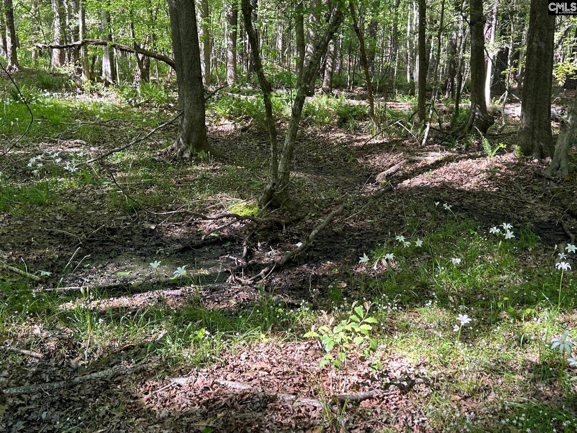Chapin, SC 29036,TBD Martin Road